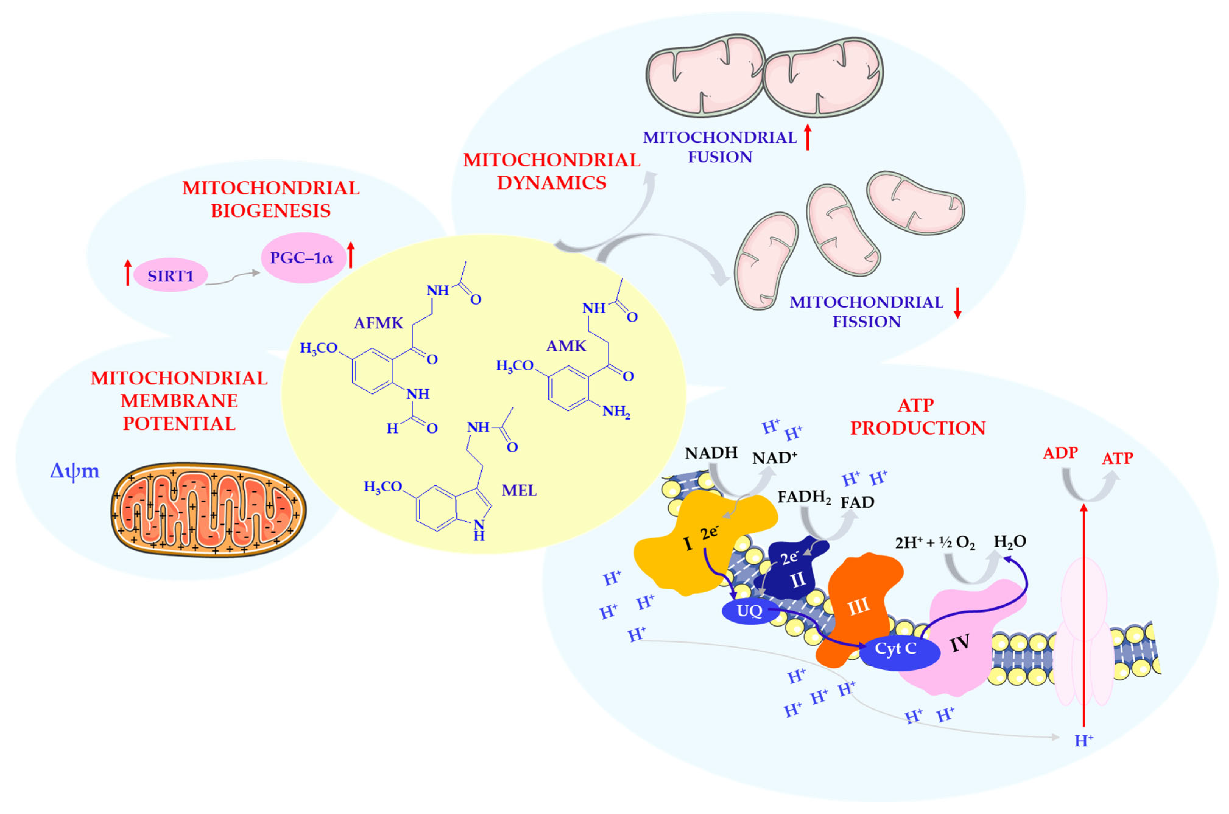 Antioxidants 14 00819 sch005