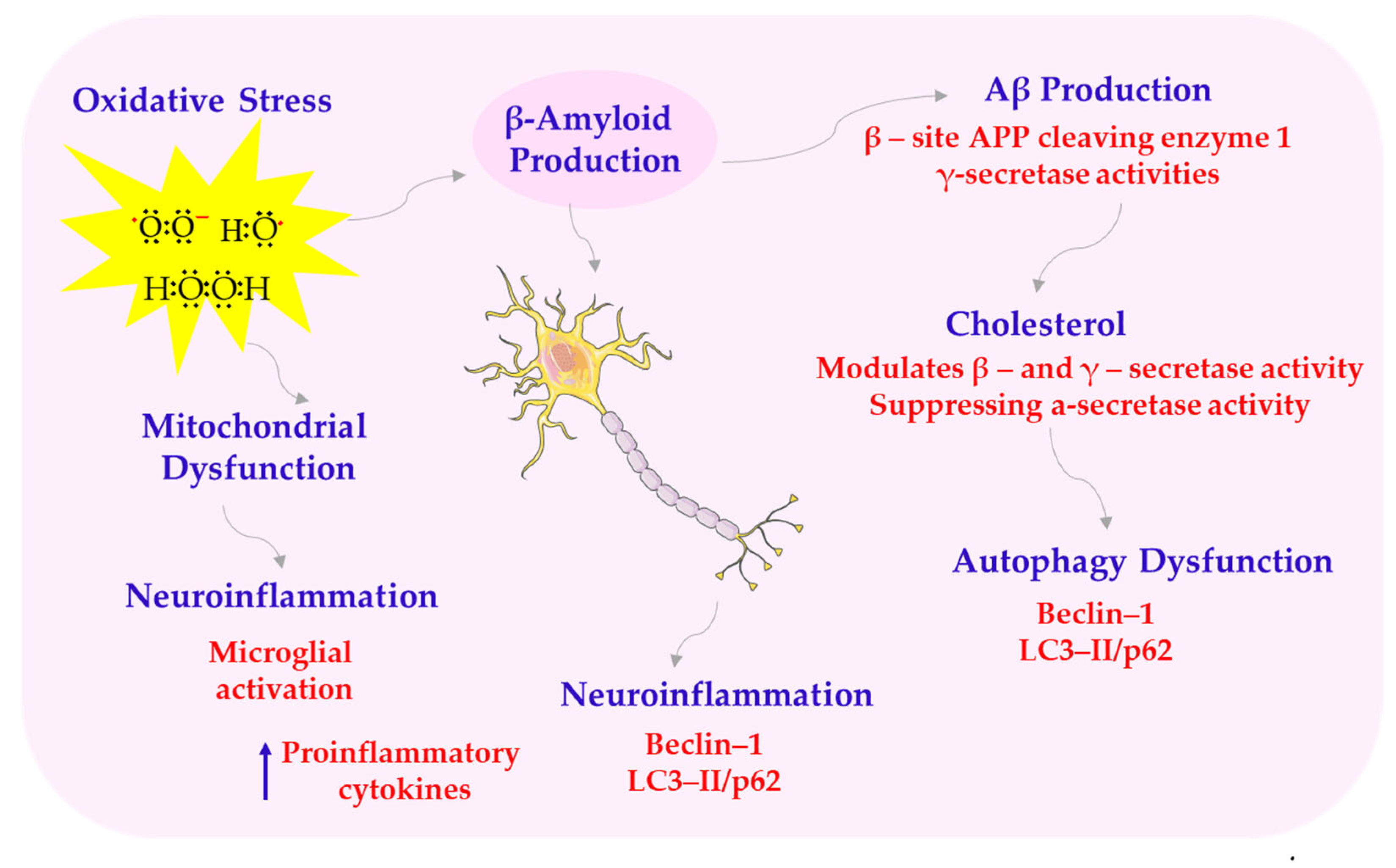 Antioxidants 14 00819 sch007