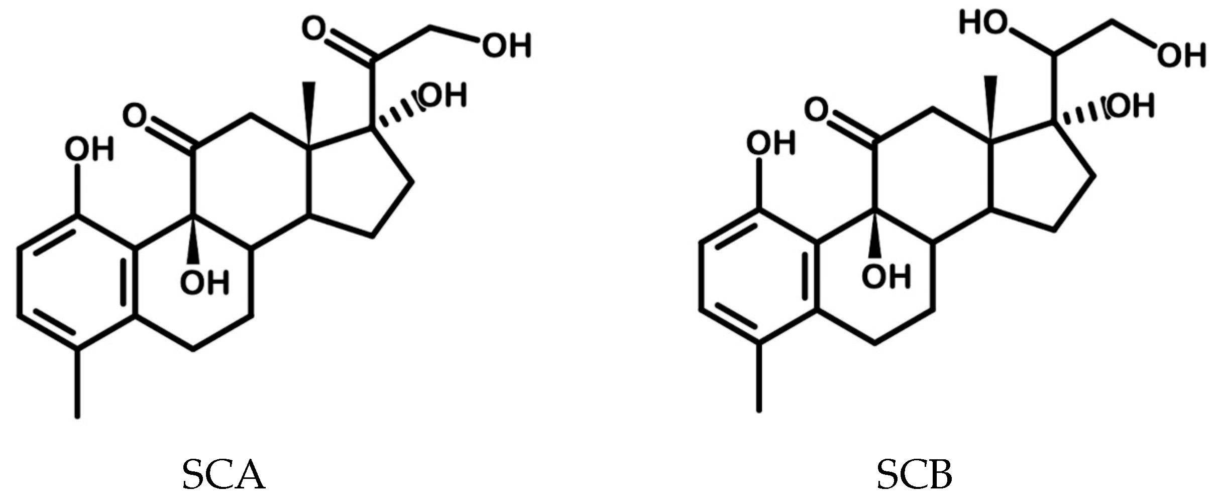 Antioxidants 14 00821 g001