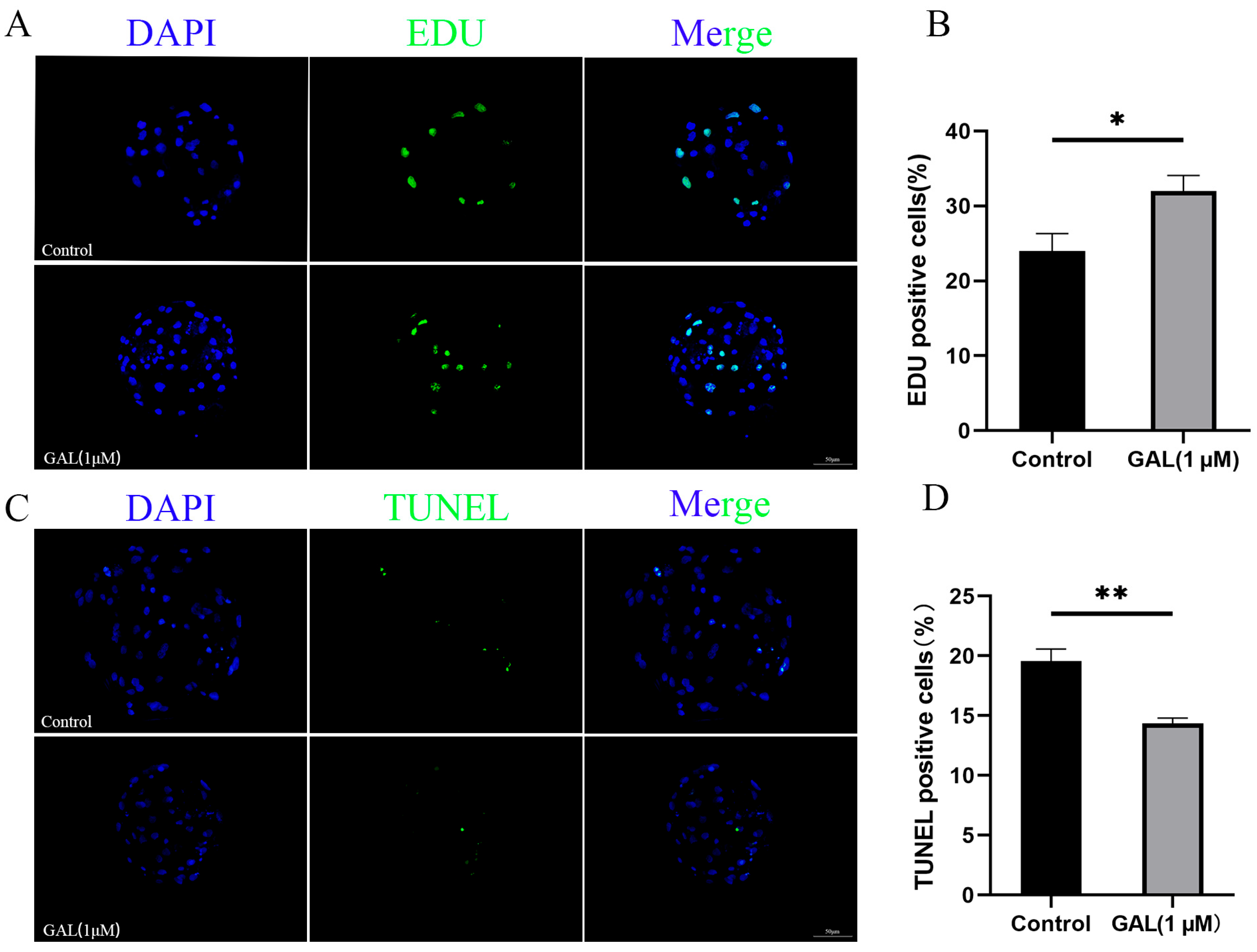 Antioxidants 14 00822 g002