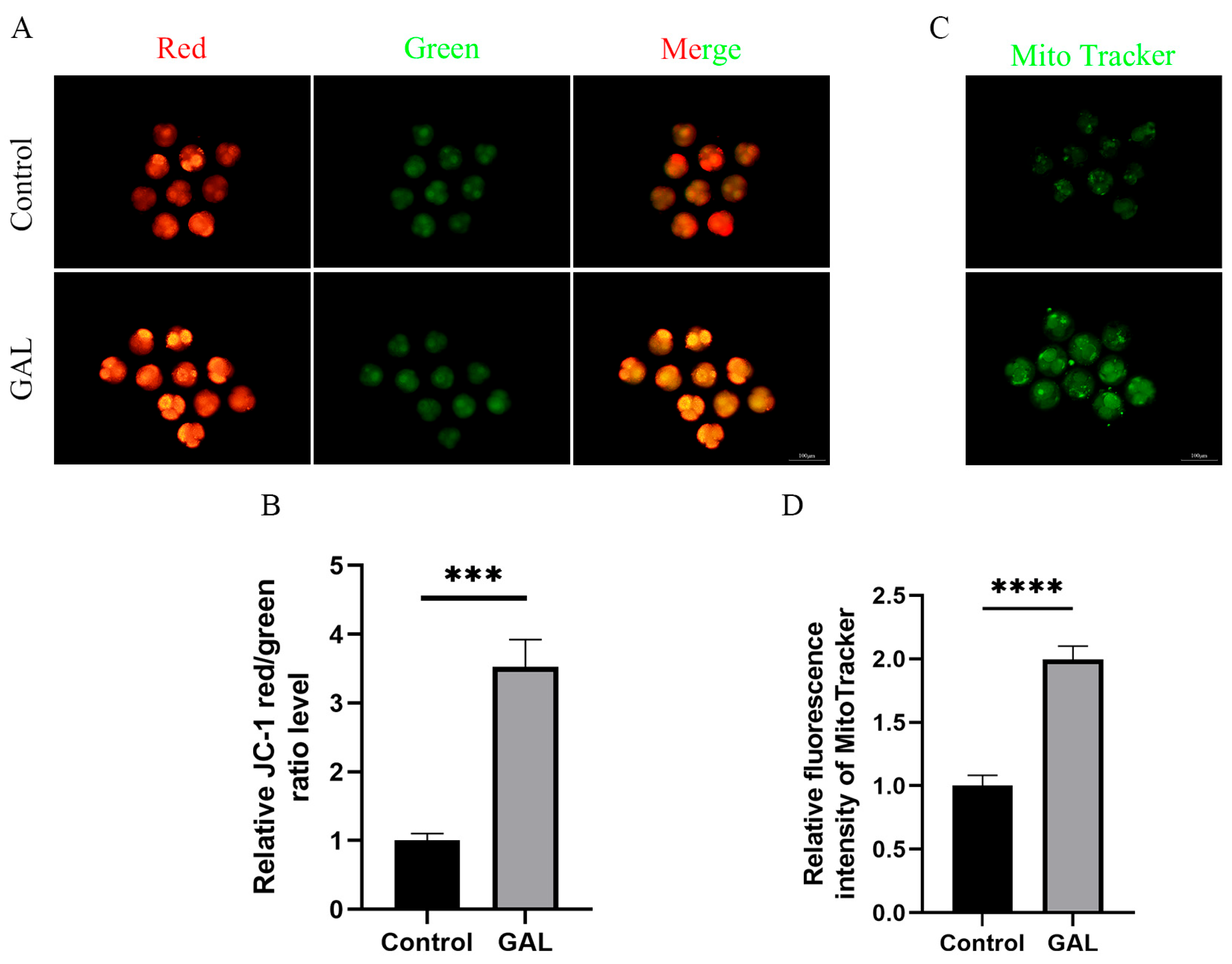 Antioxidants 14 00822 g003