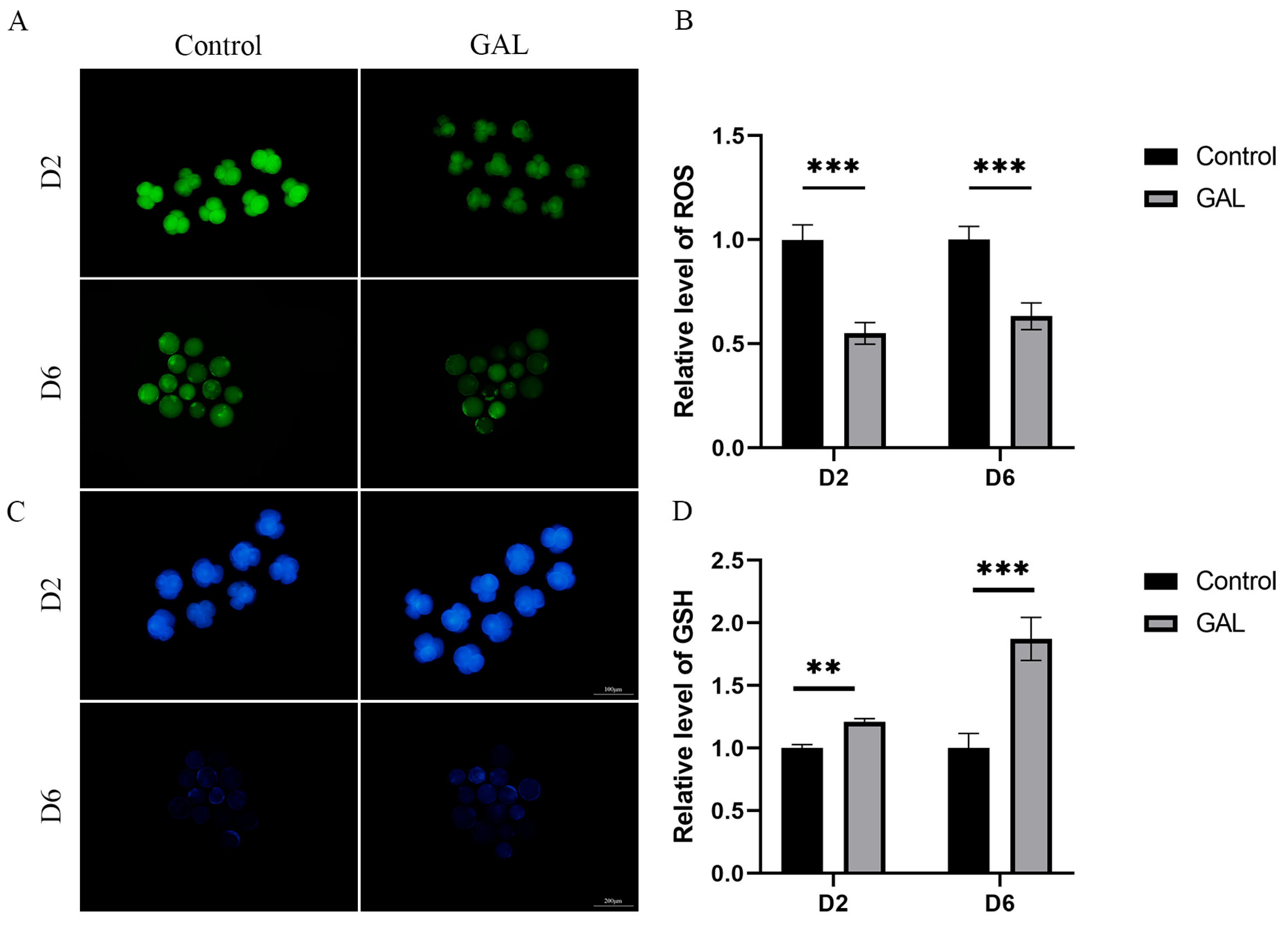 Antioxidants 14 00822 g004