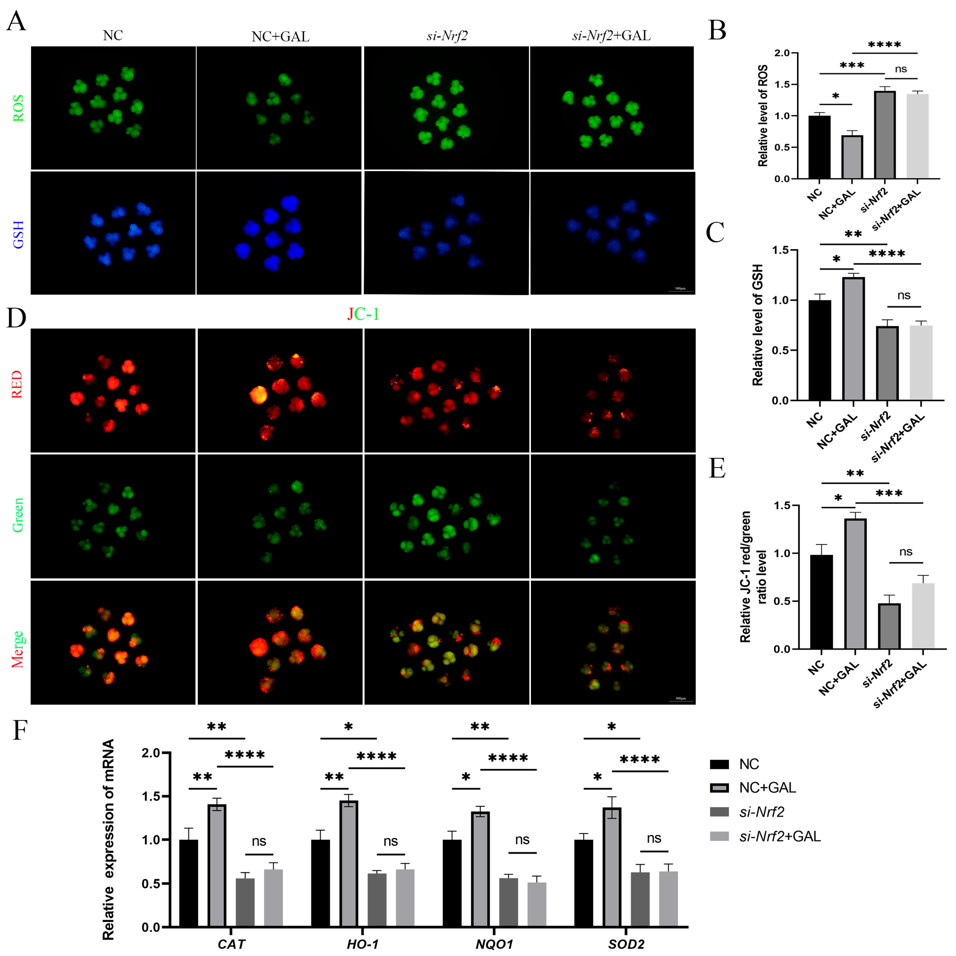 Antioxidants 14 00822 g008