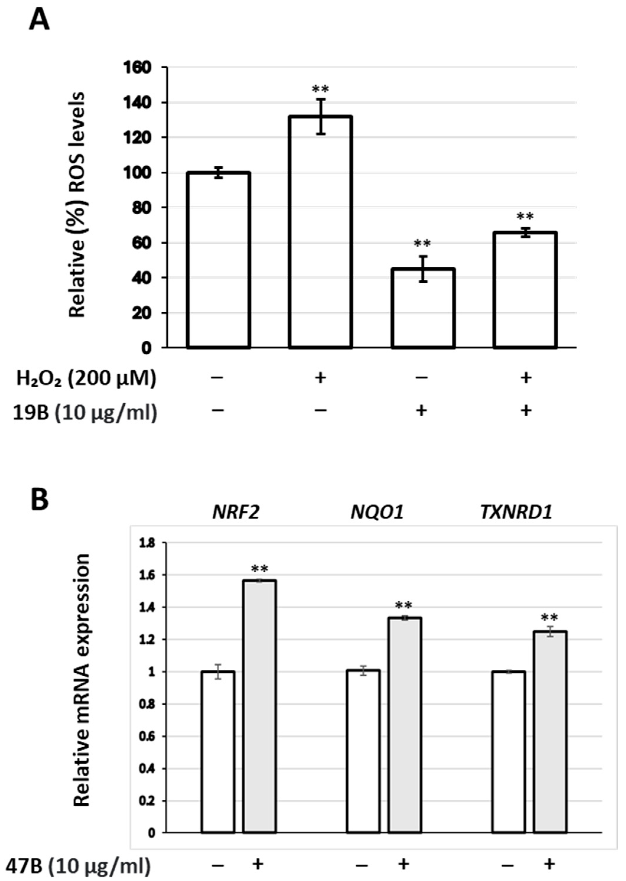 Antioxidants 14 00824 g001
