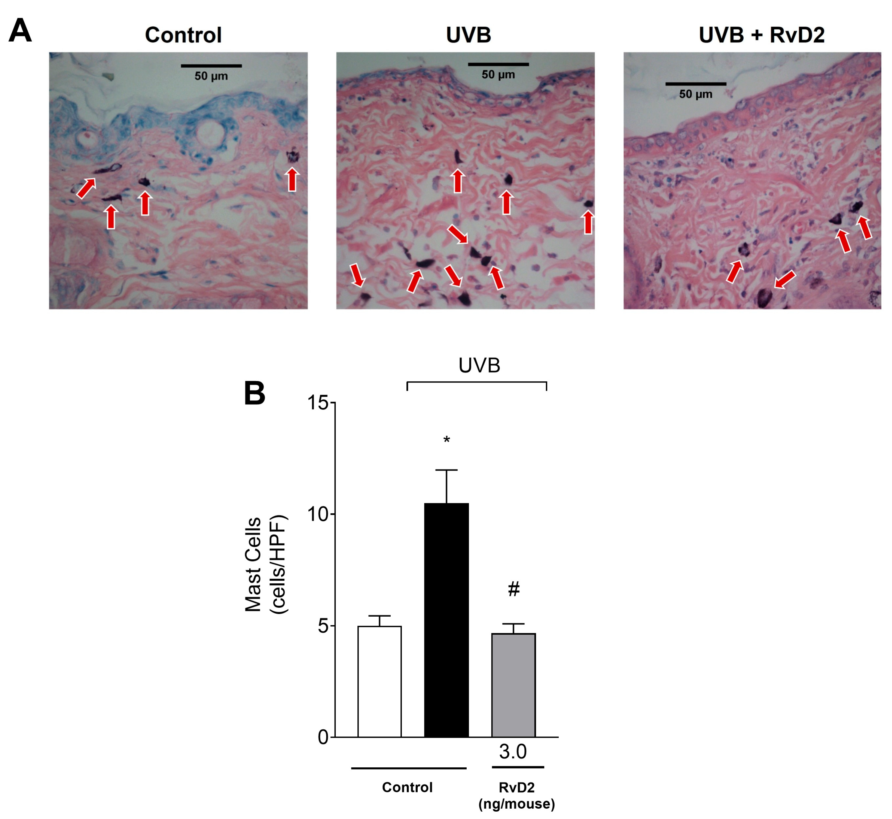Antioxidants 14 00830 g004 Antioxidants 14 00830 g004