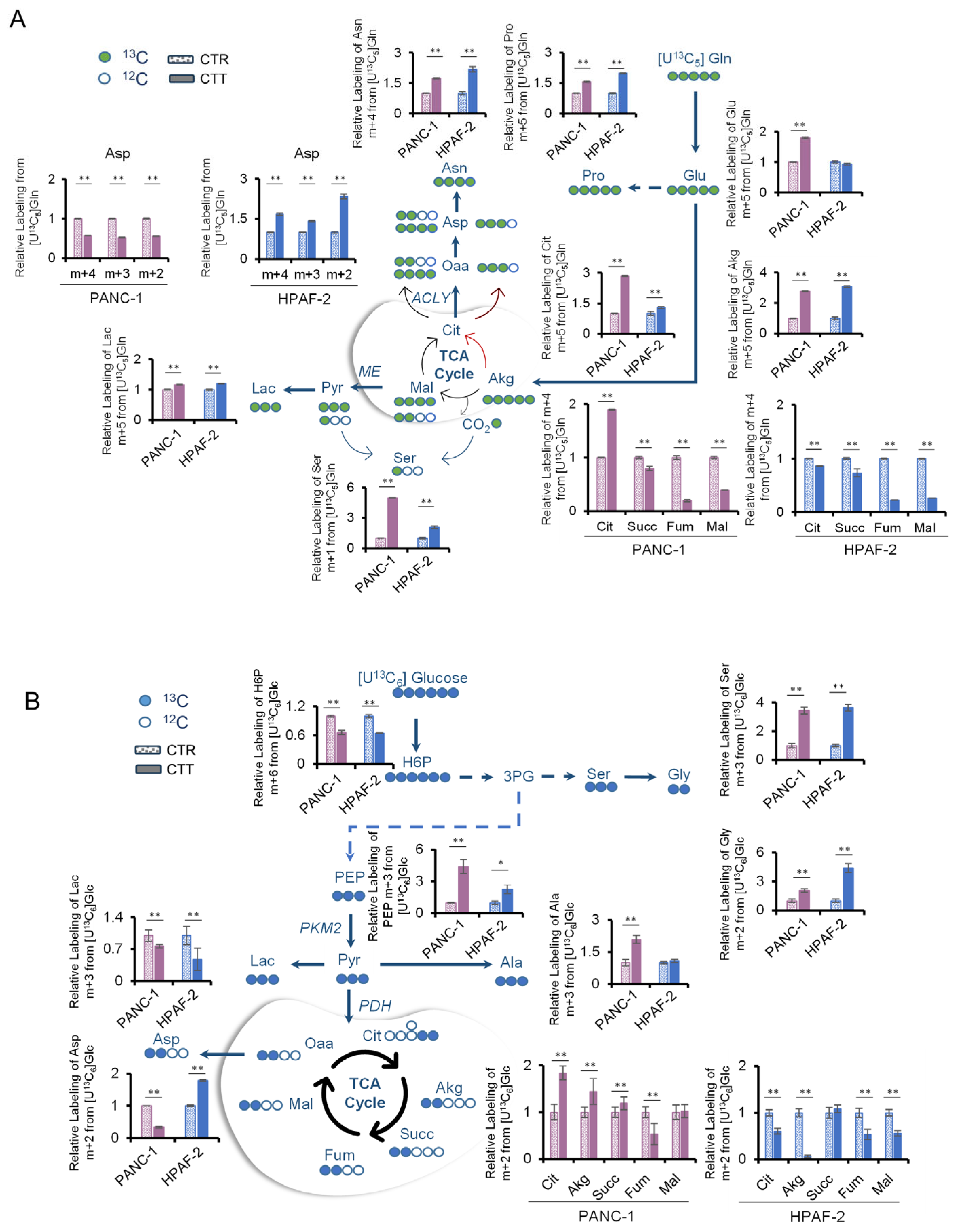 Antioxidants 14 00833 g004