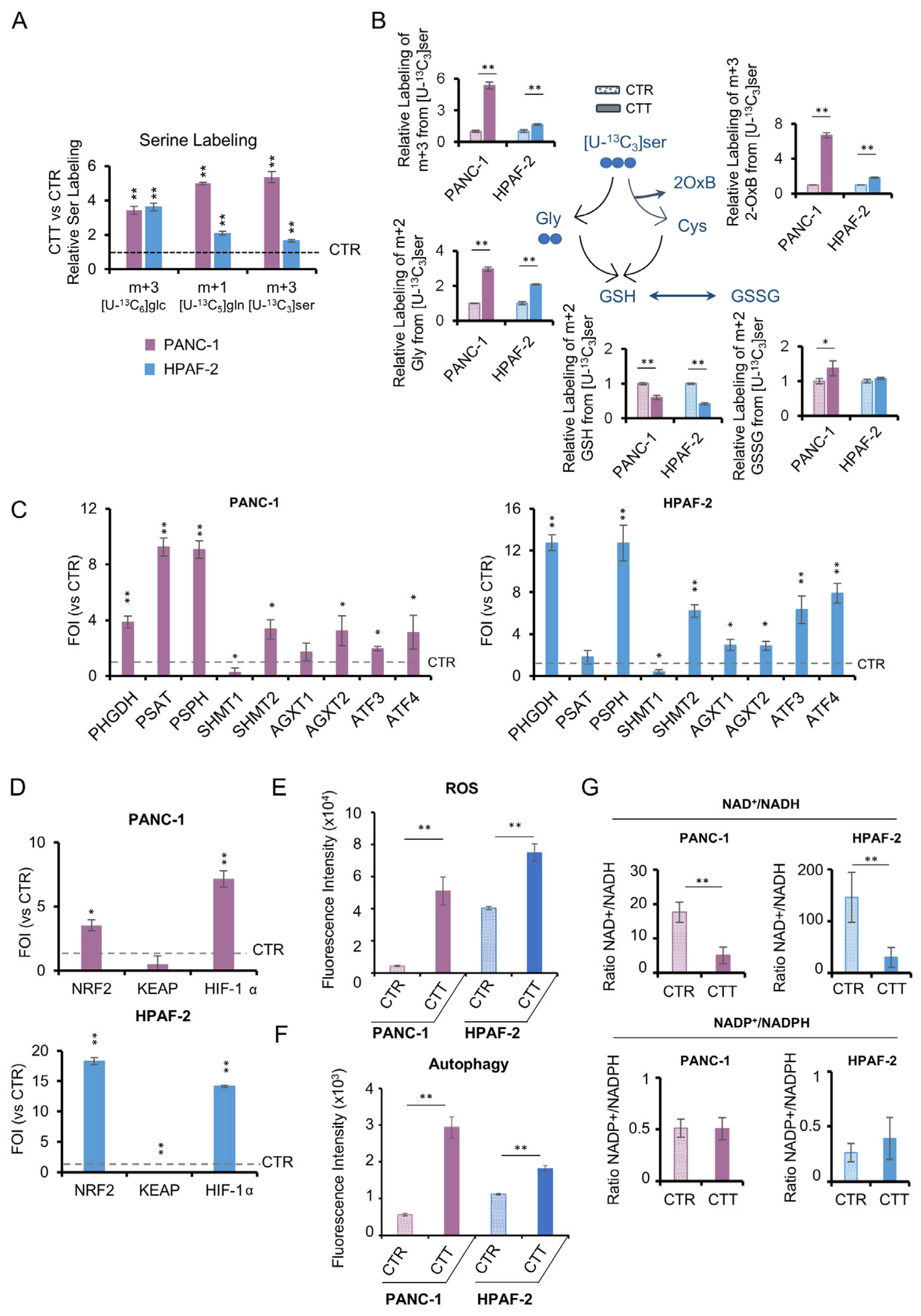 Antioxidants 14 00833 g005
