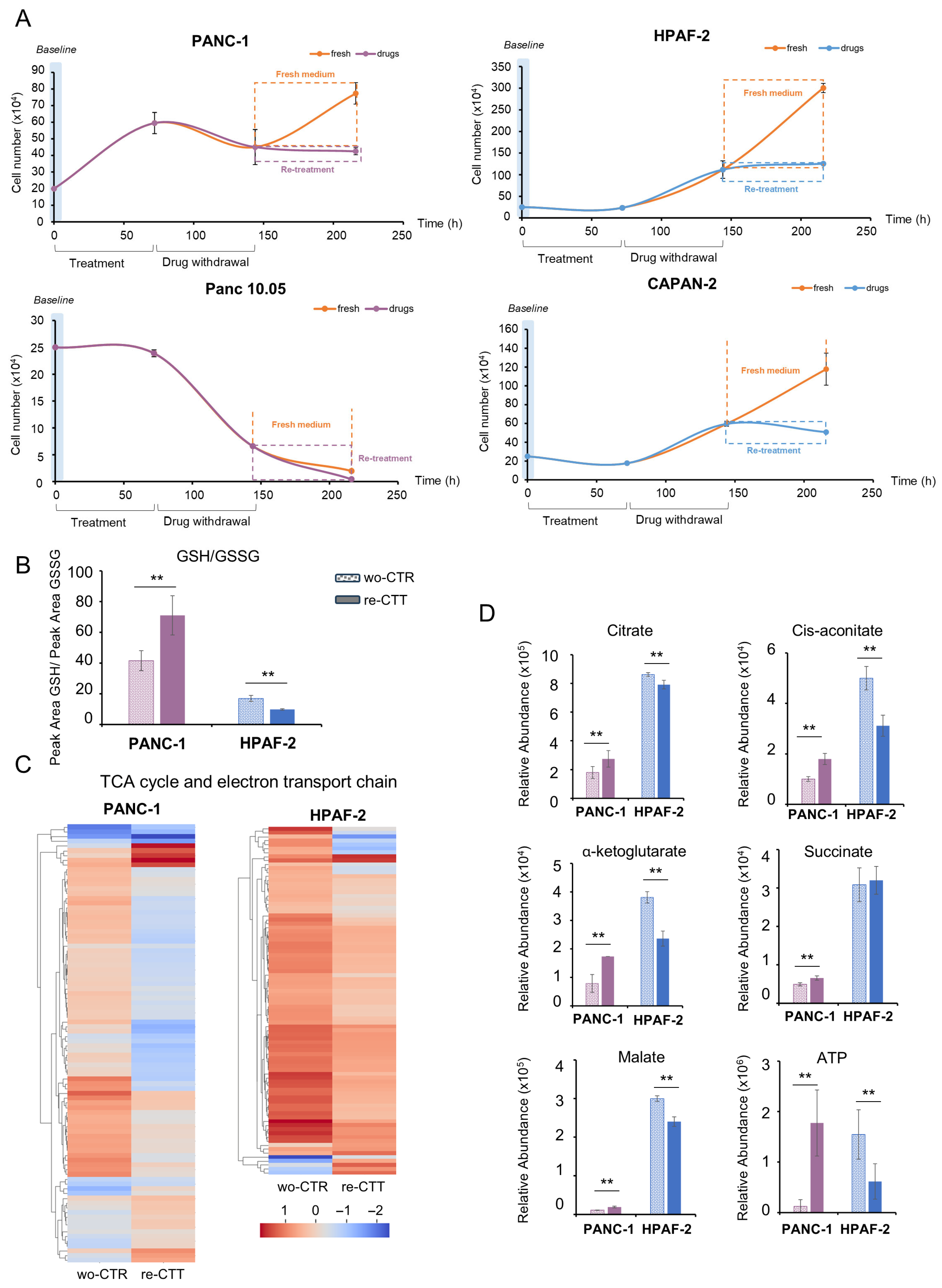 Antioxidants 14 00833 g006