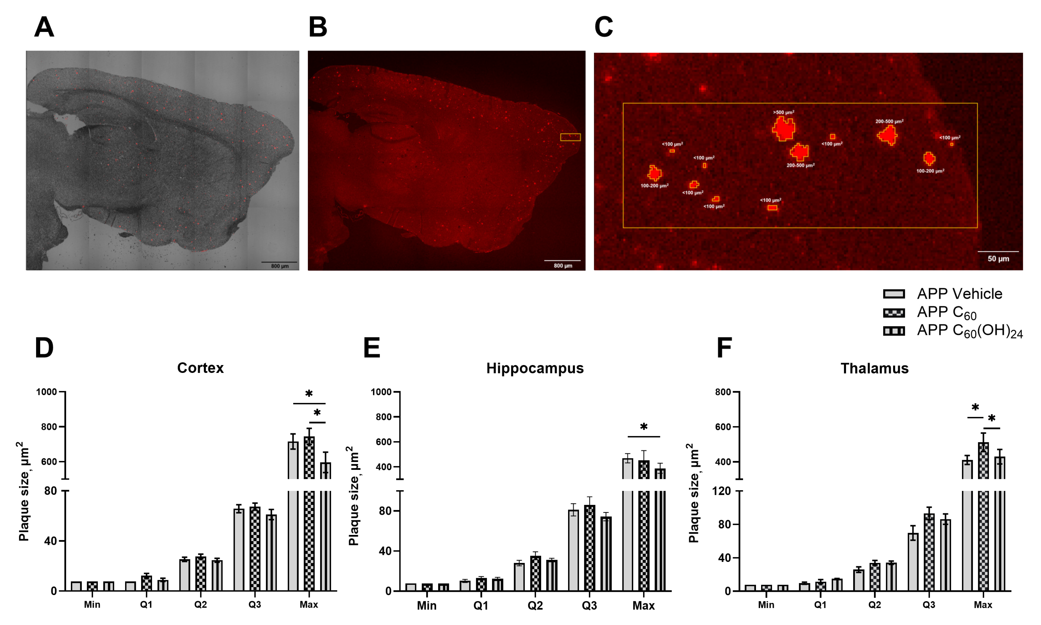 Antioxidants 14 00834 g004