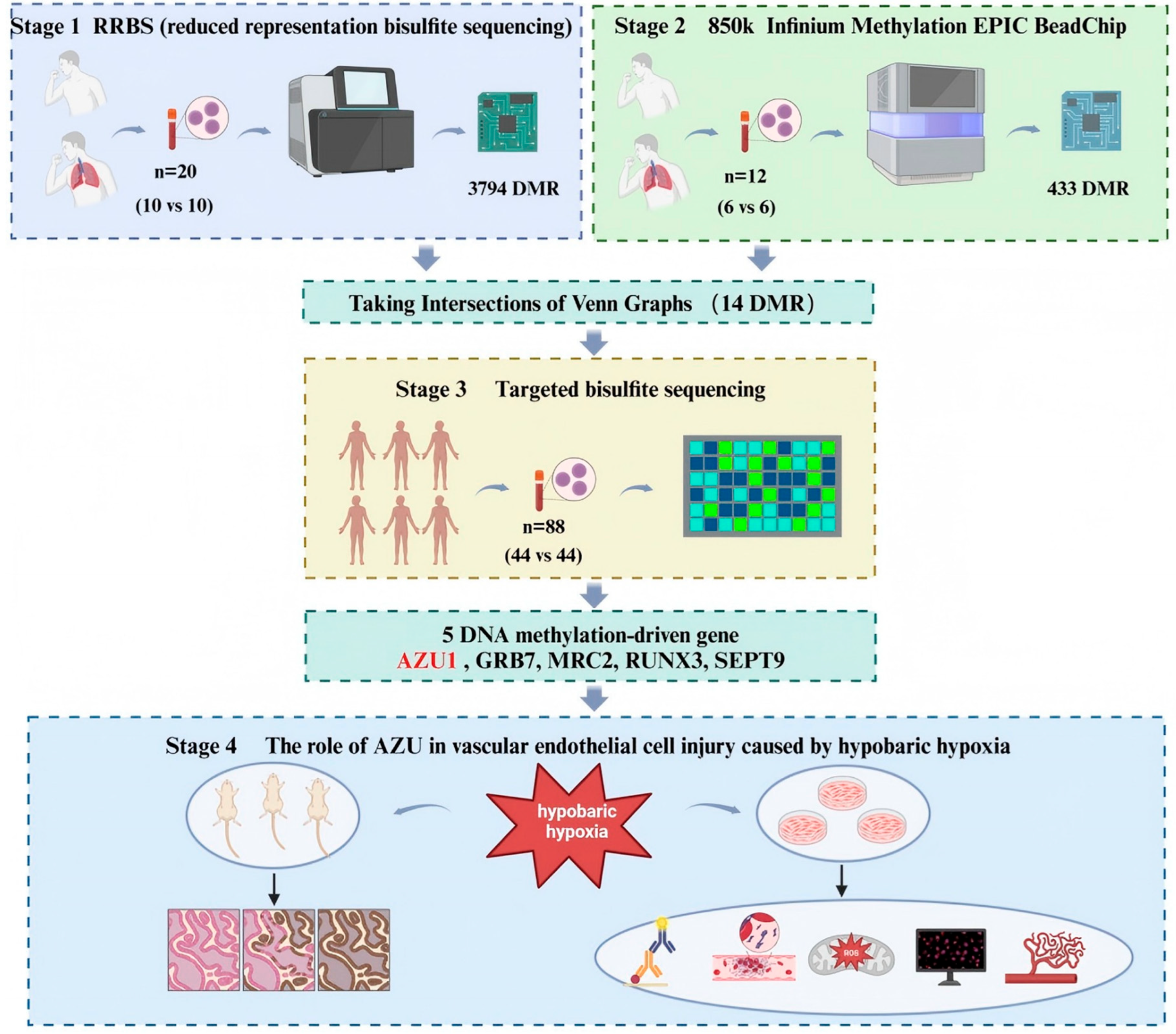 Antioxidants 14 00835 g001