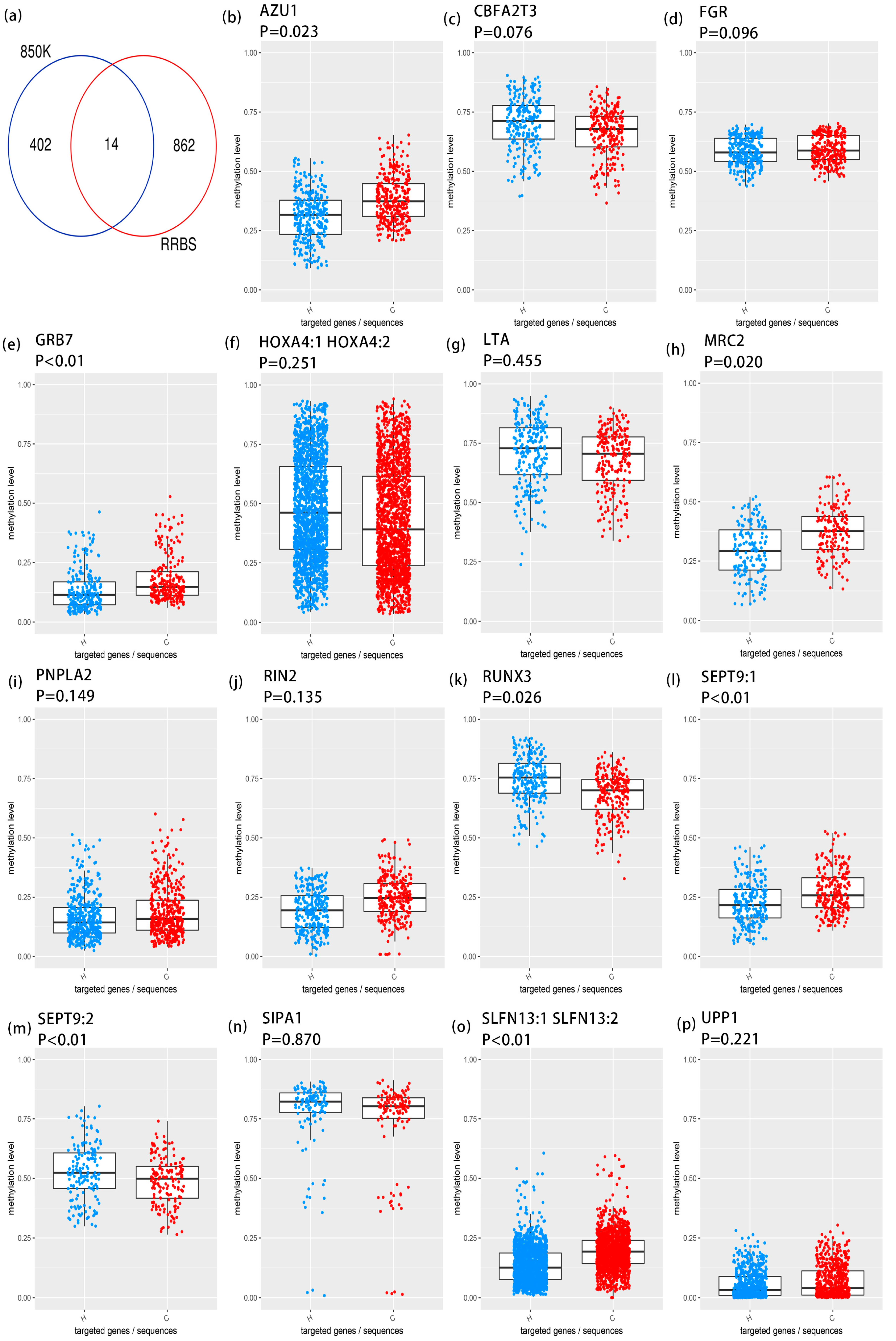 Antioxidants 14 00835 g004