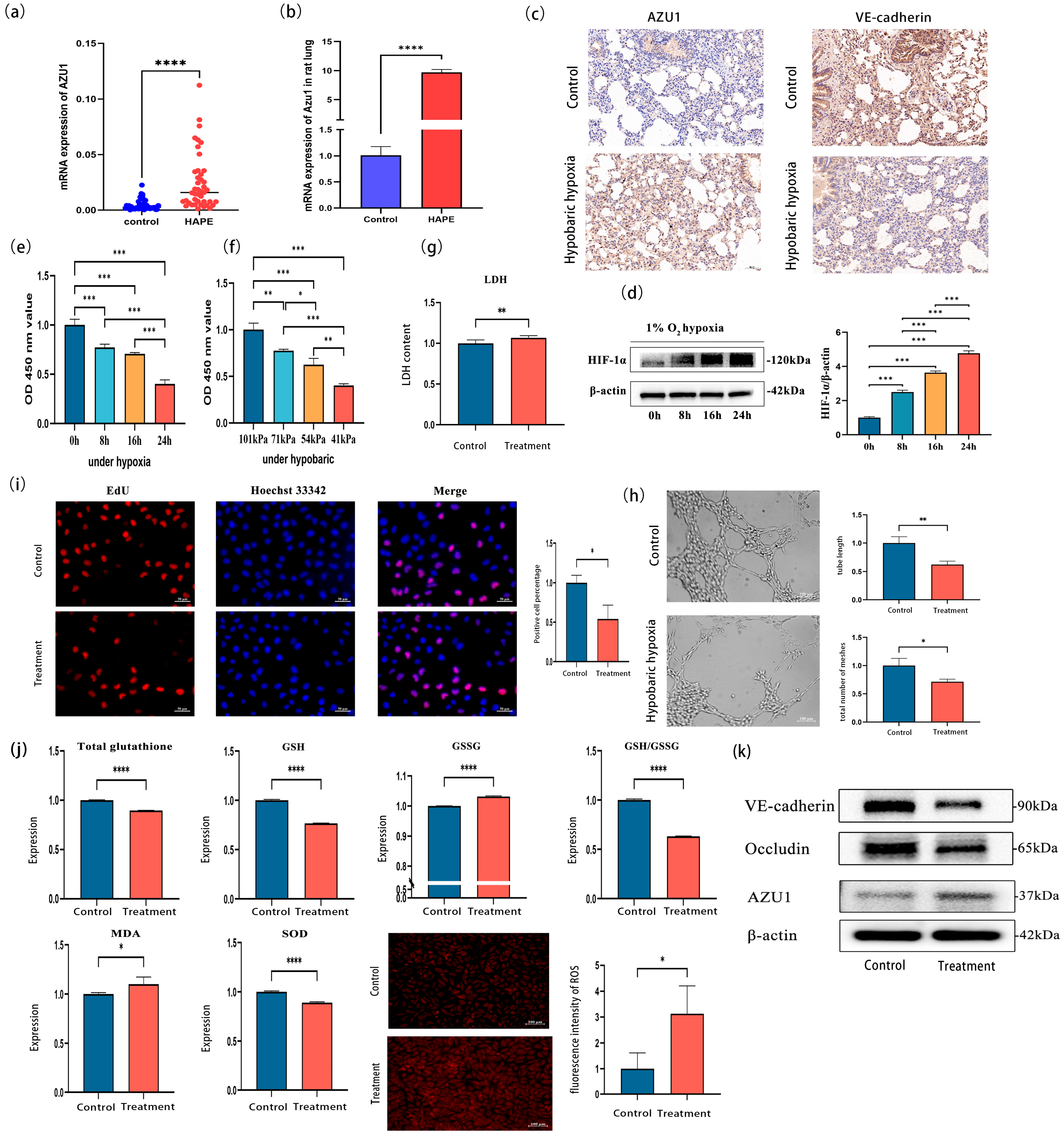 Antioxidants 14 00835 g005