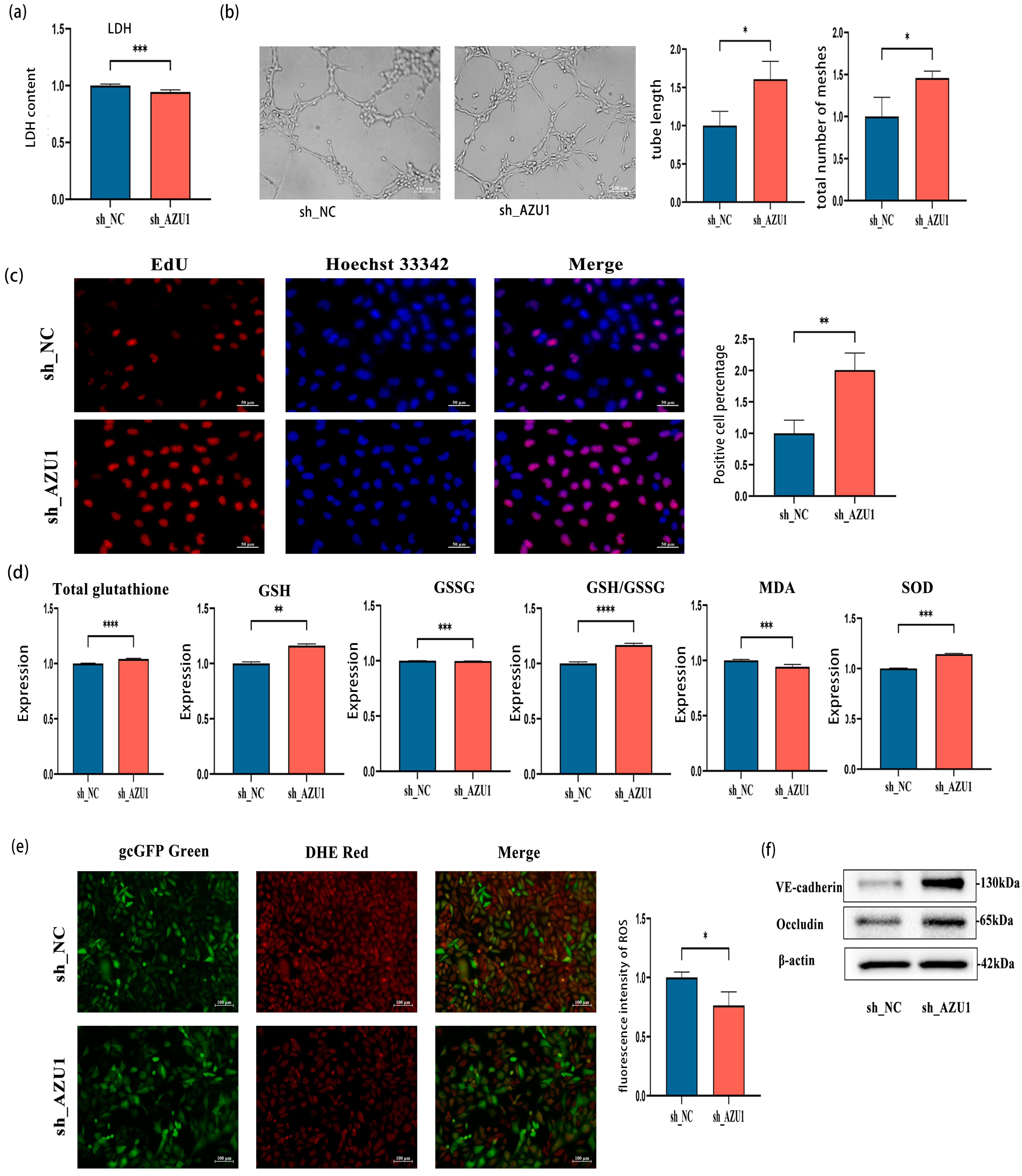 Antioxidants 14 00835 g006