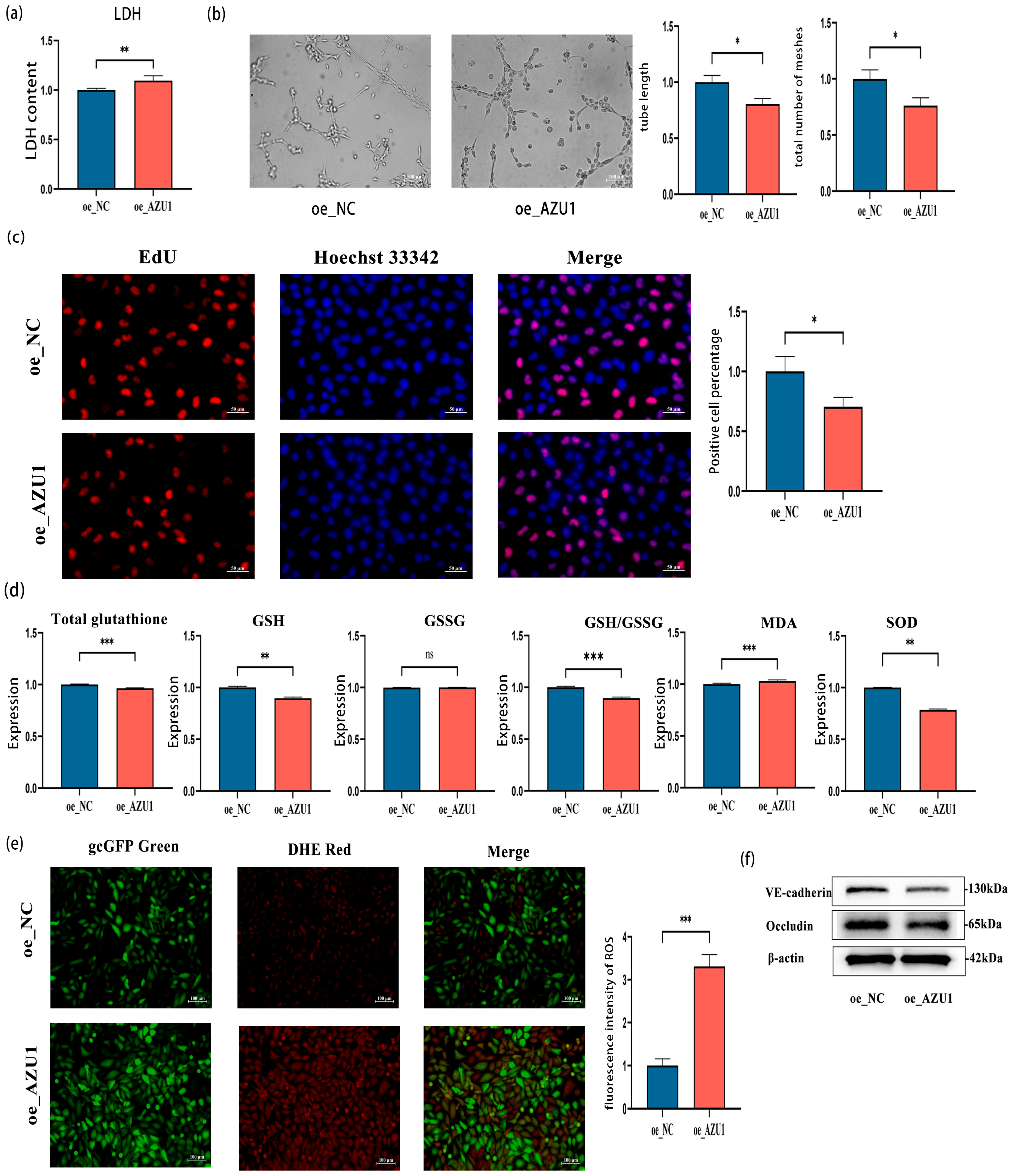 Antioxidants 14 00835 g007