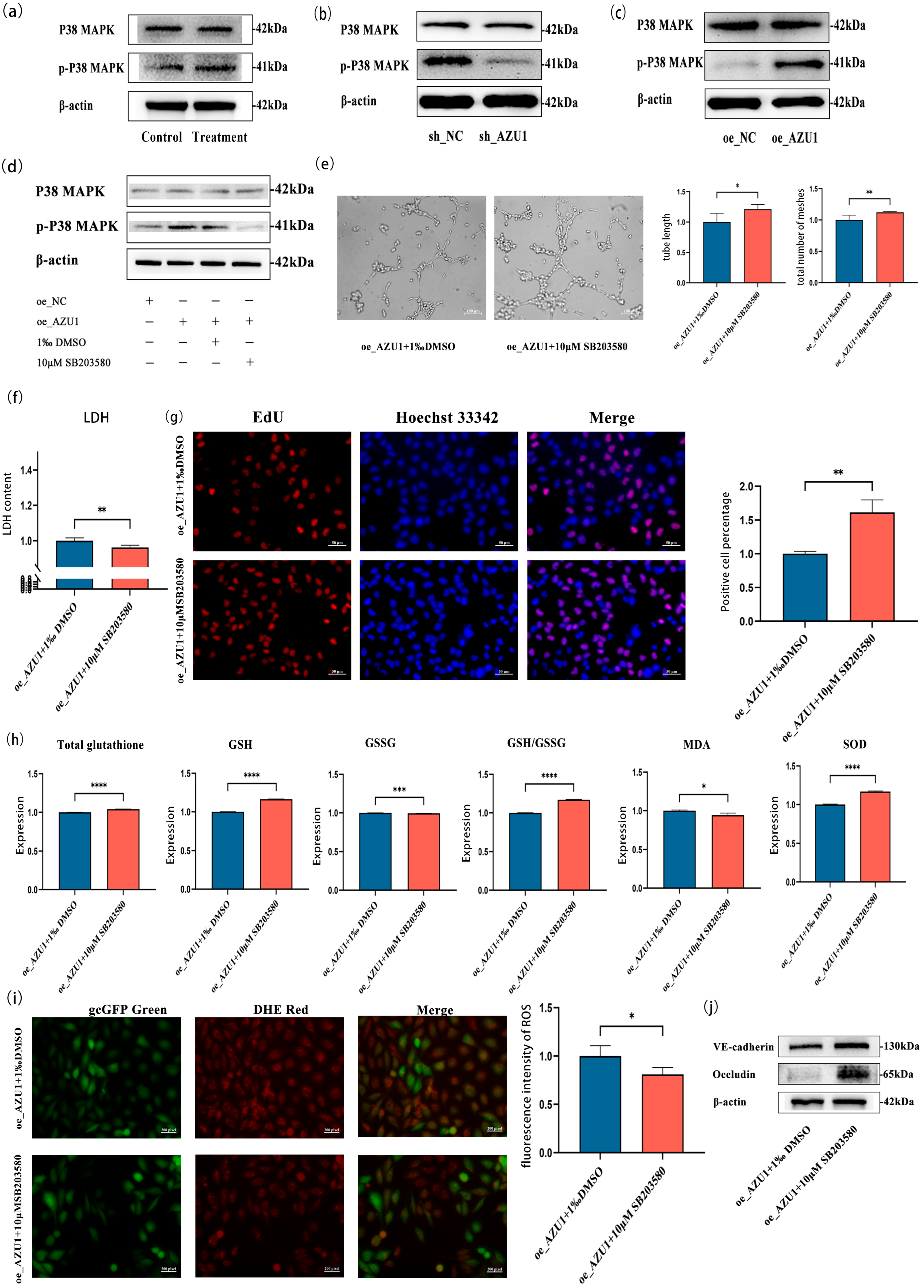 Antioxidants 14 00835 g008