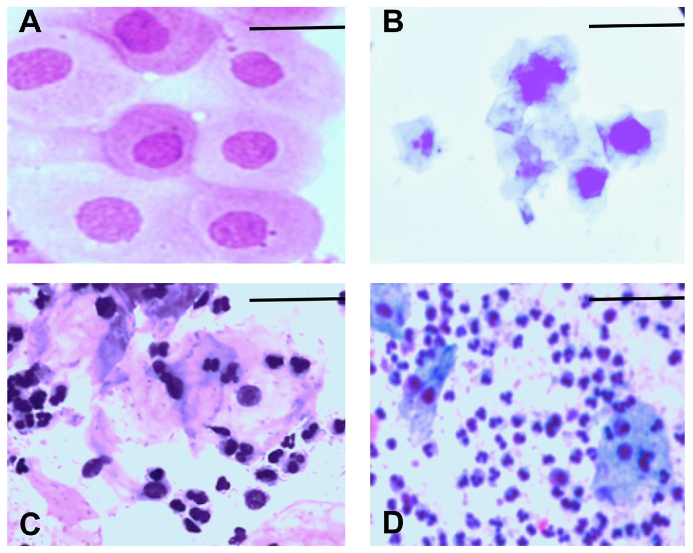 Antioxidants 14 00837 g002