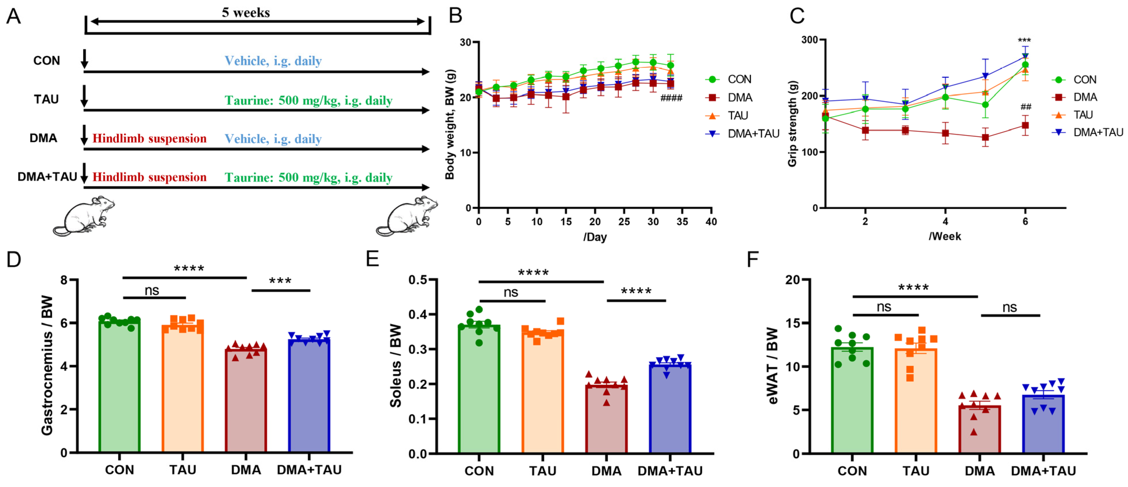 Antioxidants 14 00847 g001