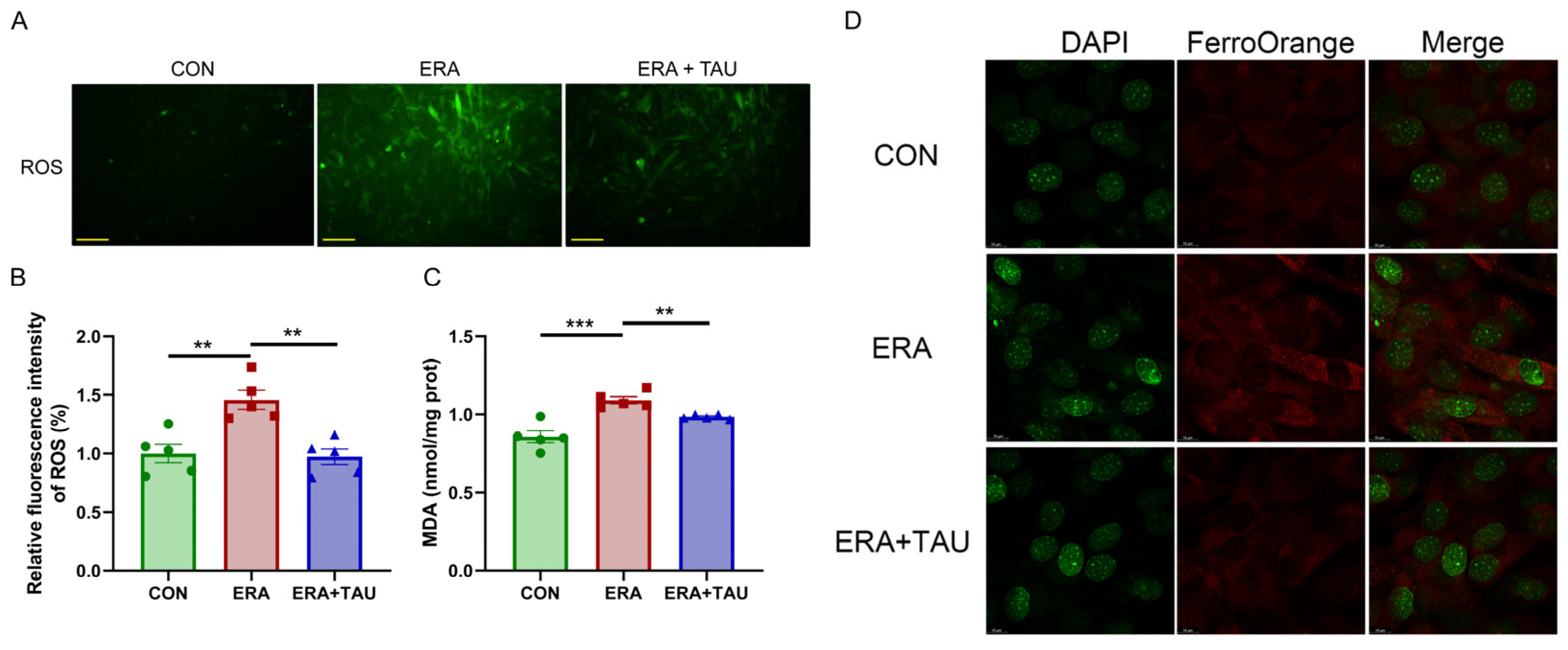 Antioxidants 14 00847 g007