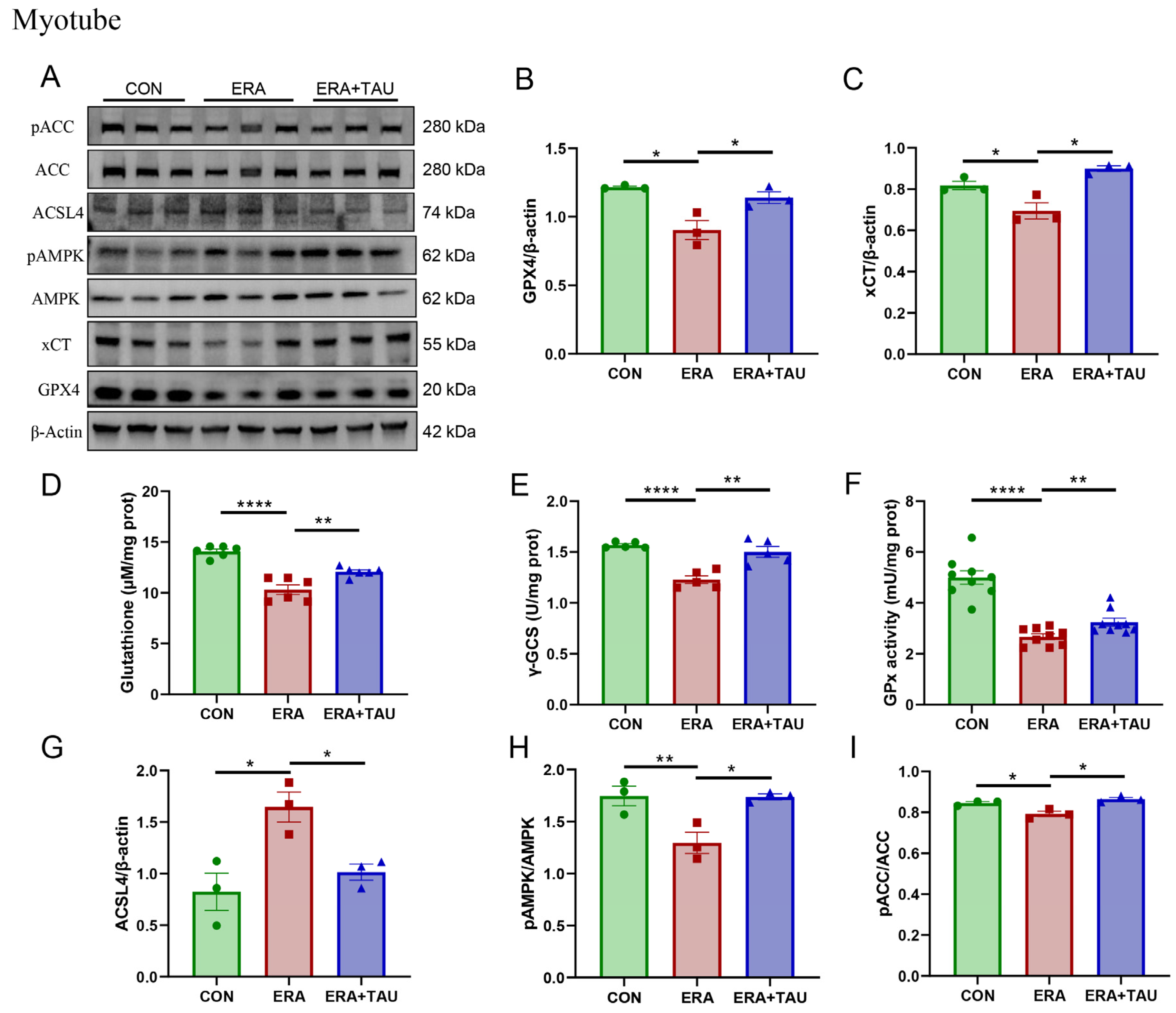 Antioxidants 14 00847 g008