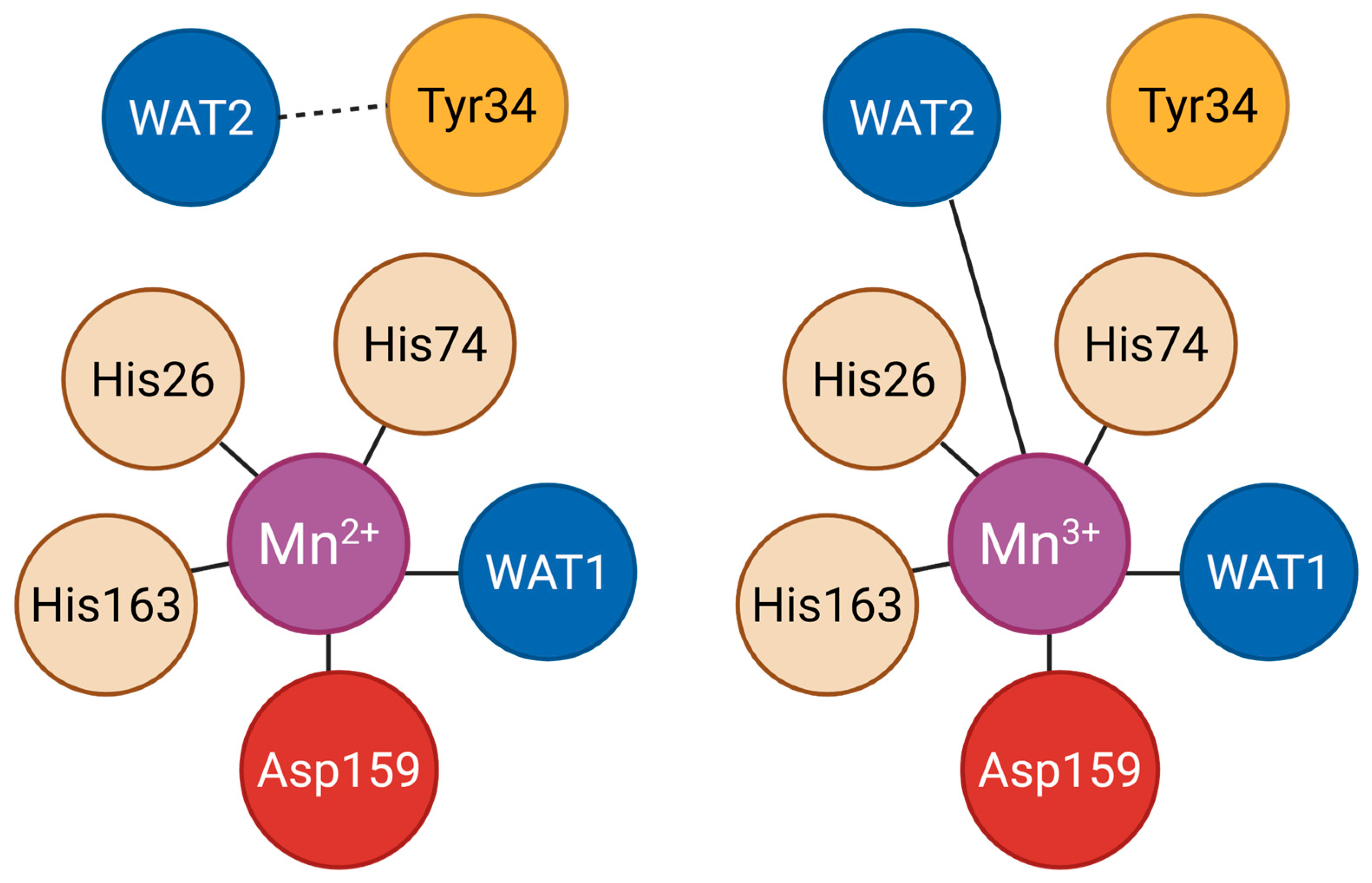 Antioxidants 14 00848 g002 Antioxidants 14 00848 g002