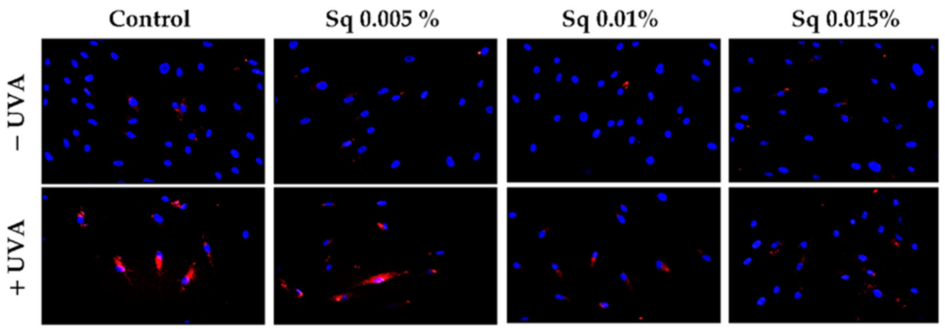 Antioxidants 14 00853 g002