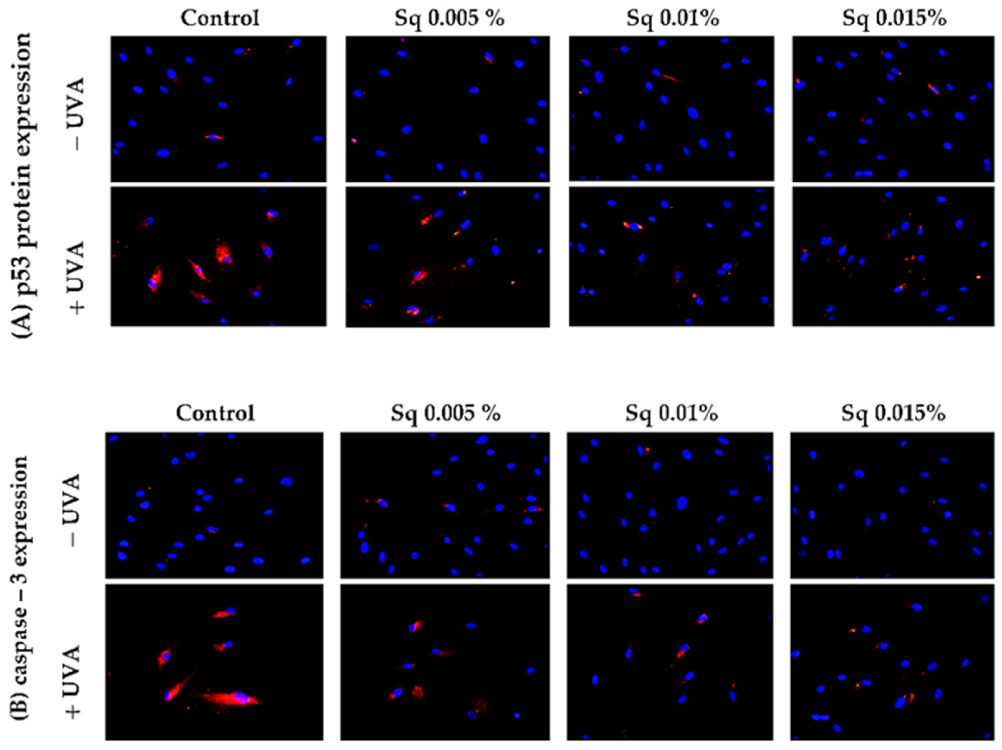Antioxidants 14 00853 g006