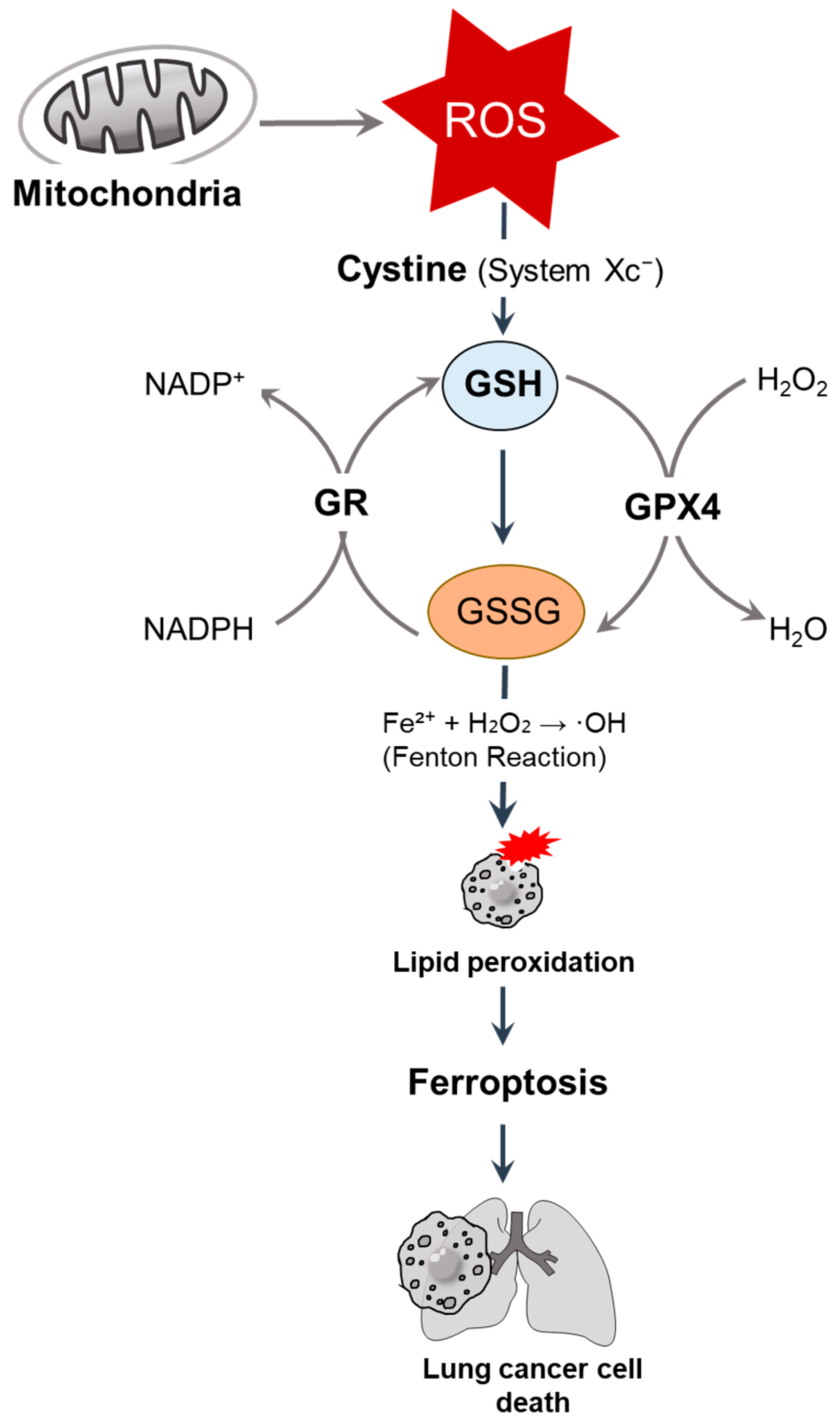 Antioxidants 14 00857 g001
