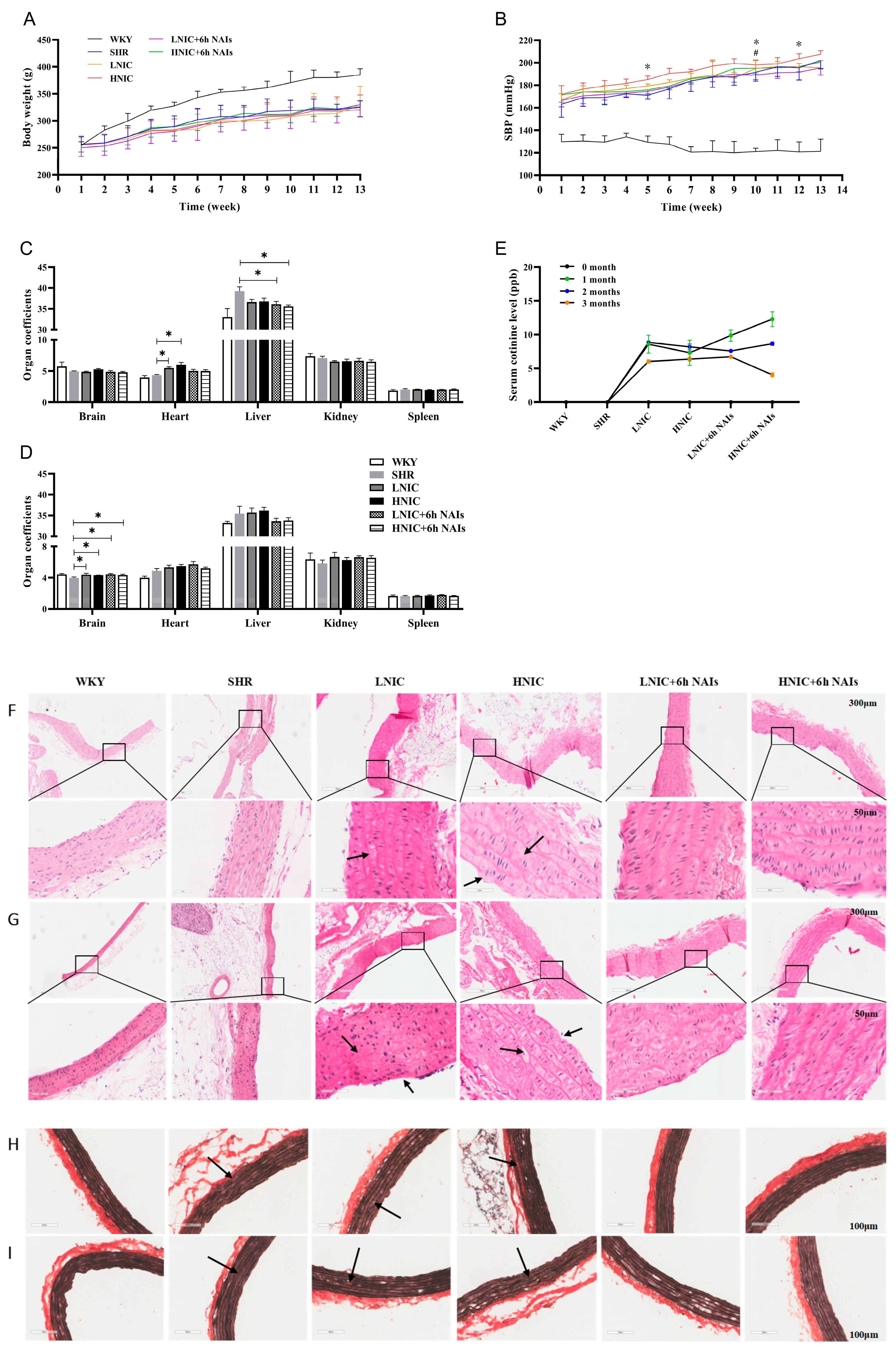 Antioxidants 14 00859 g001