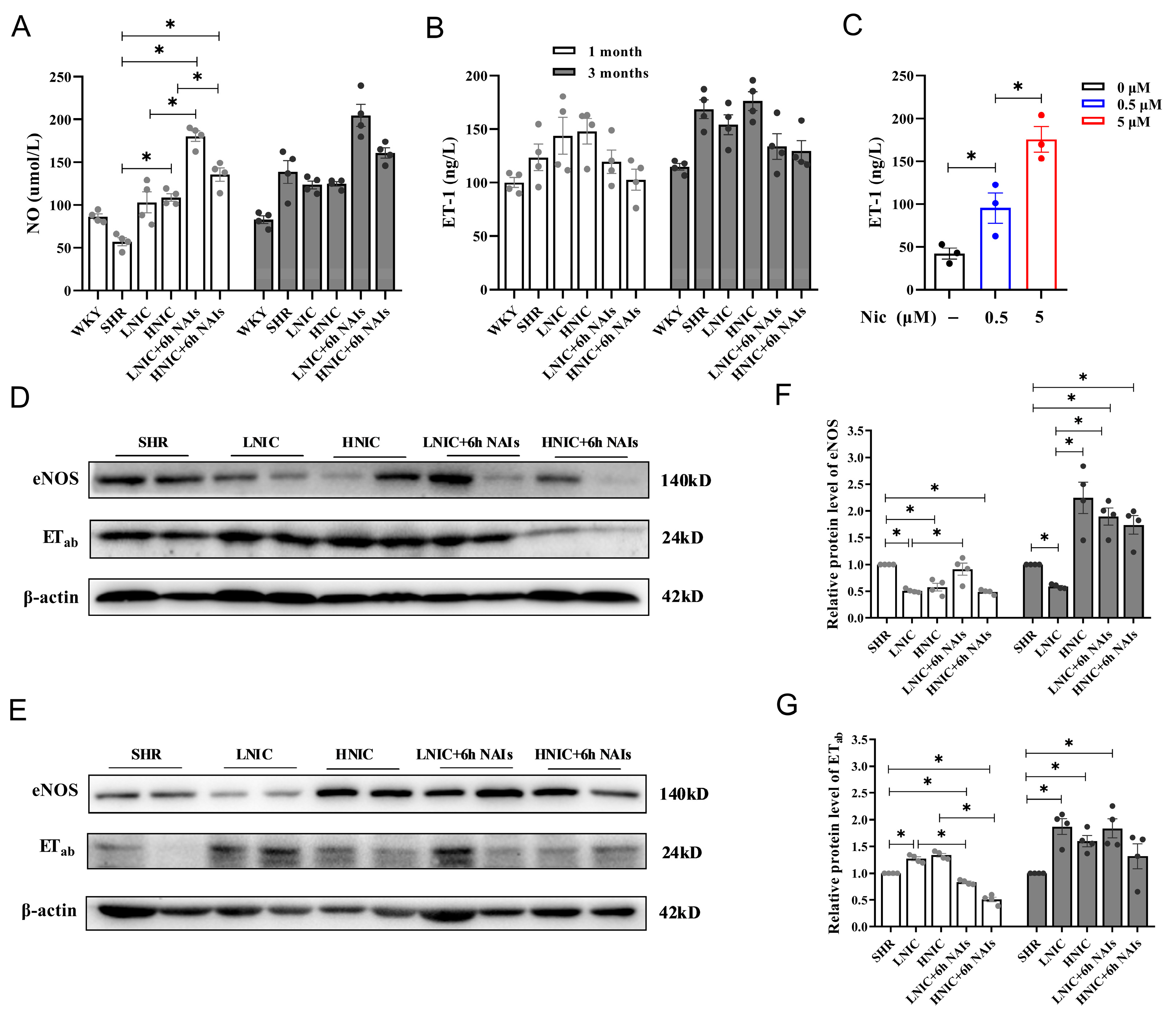Antioxidants 14 00859 g004