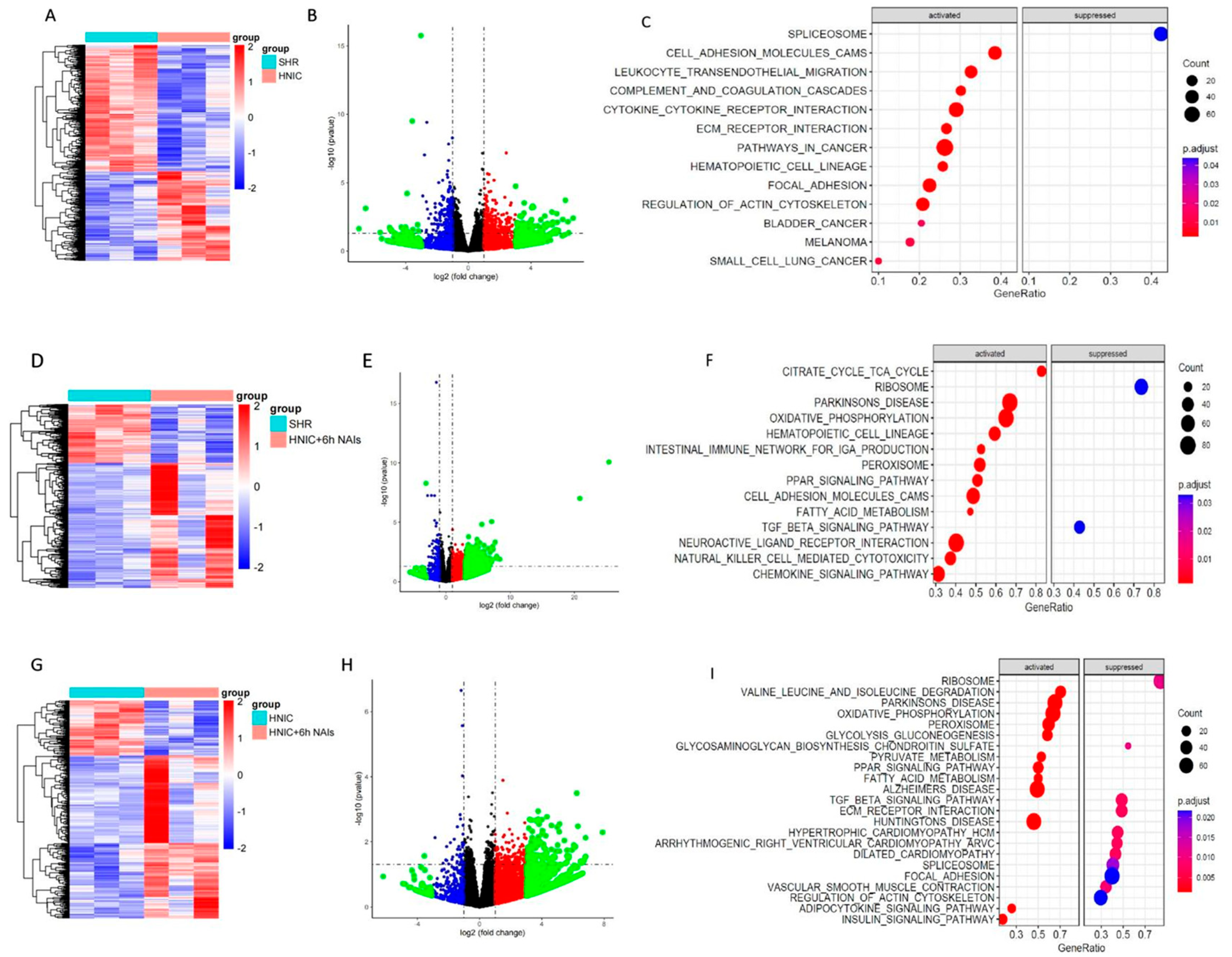 Antioxidants 14 00859 g006