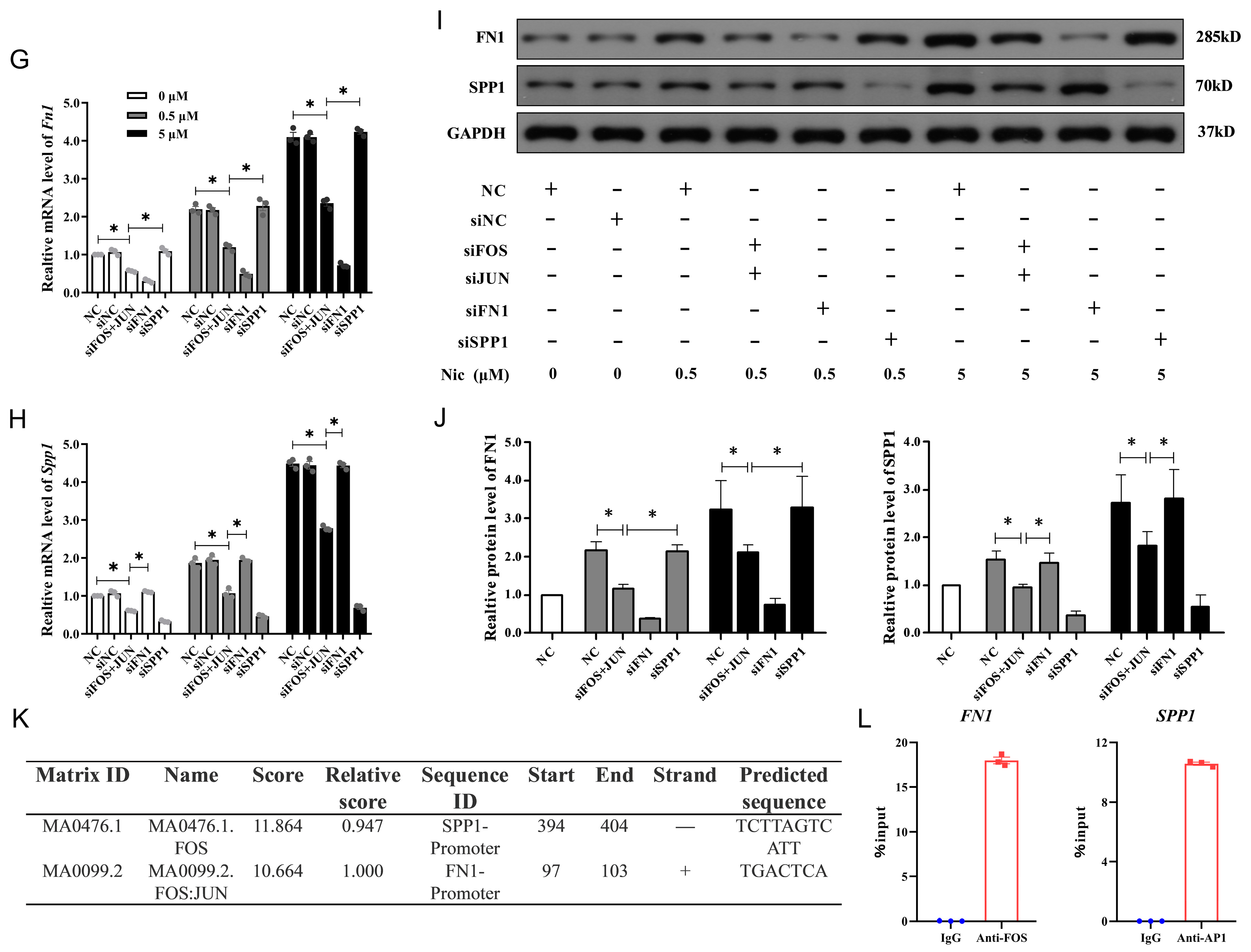 Antioxidants 14 00859 g007b