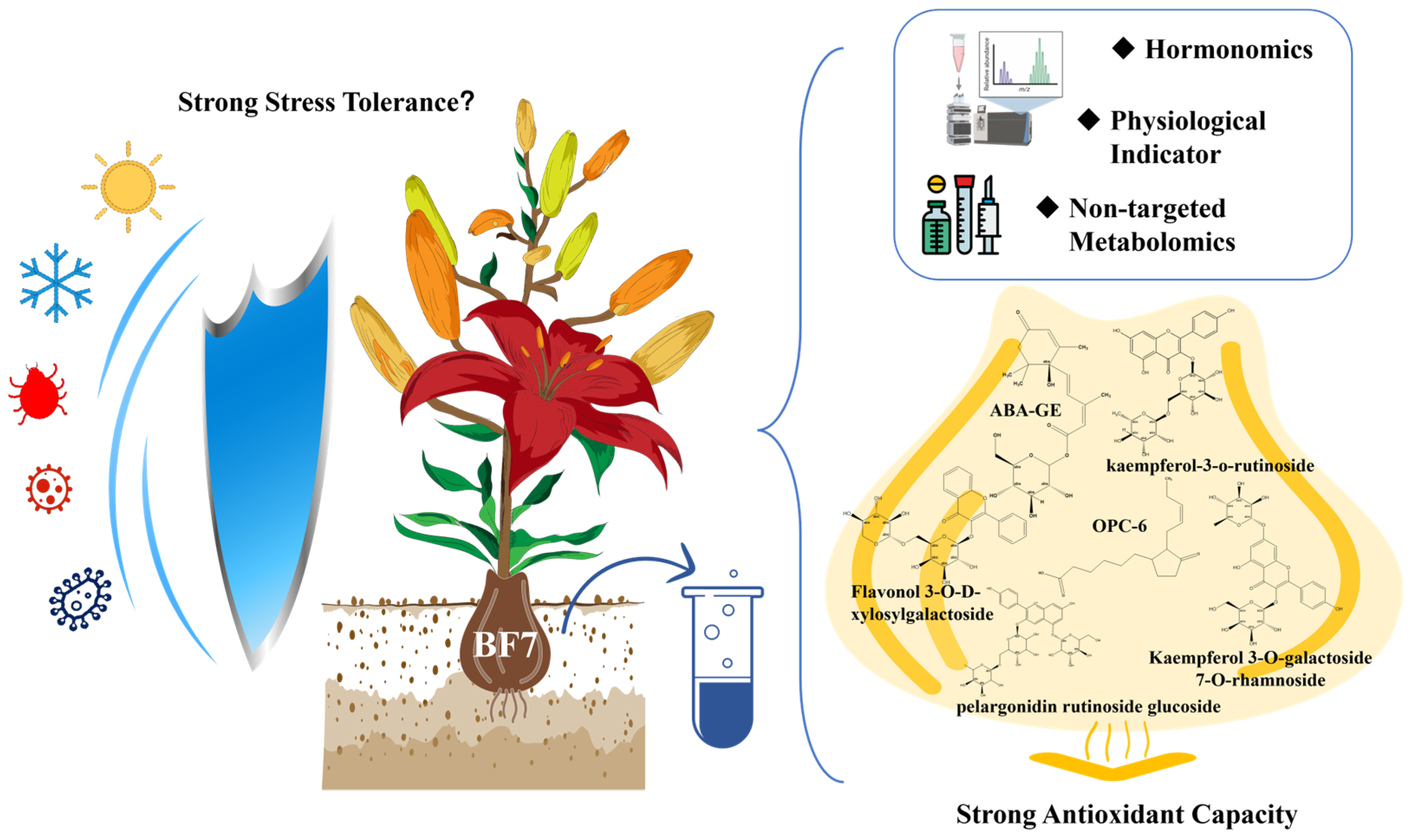 Antioxidants 14 00862 g007