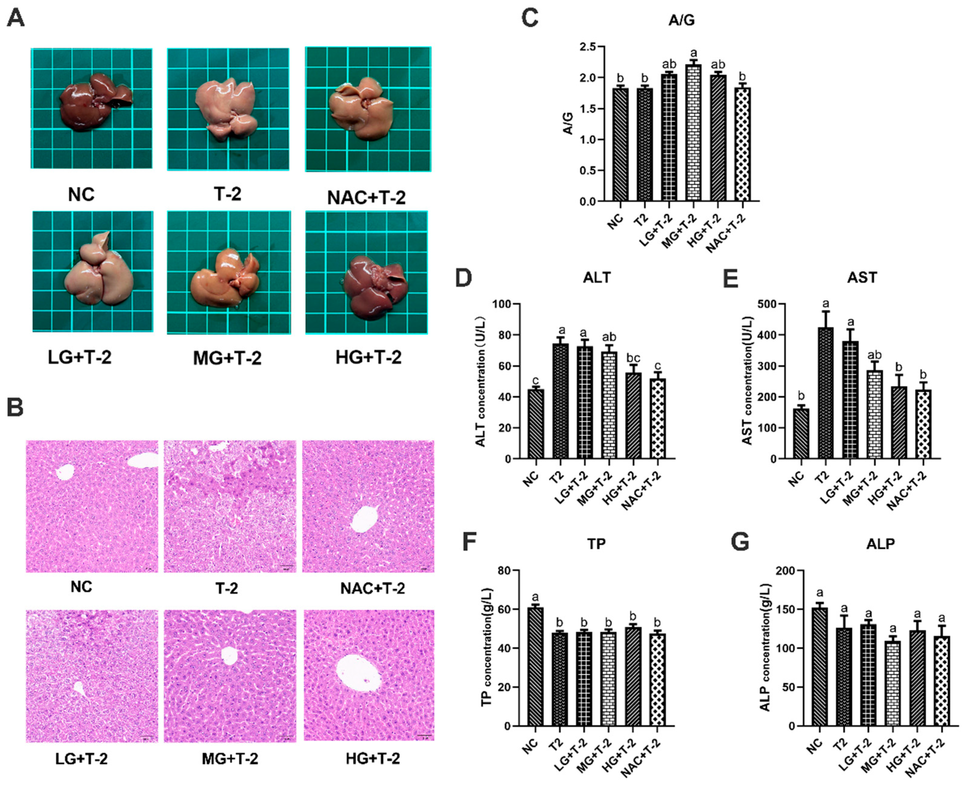 Antioxidants 14 00866 g002