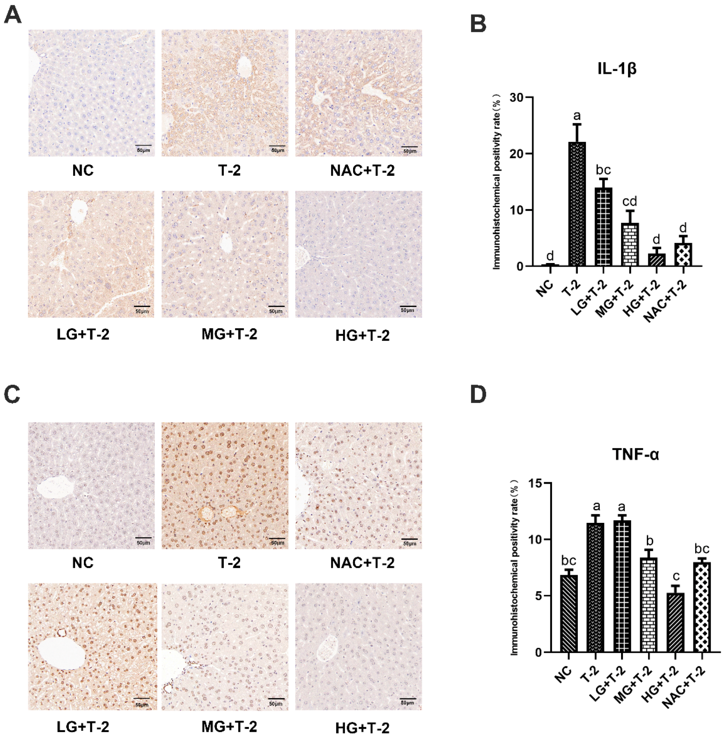 Antioxidants 14 00866 g005