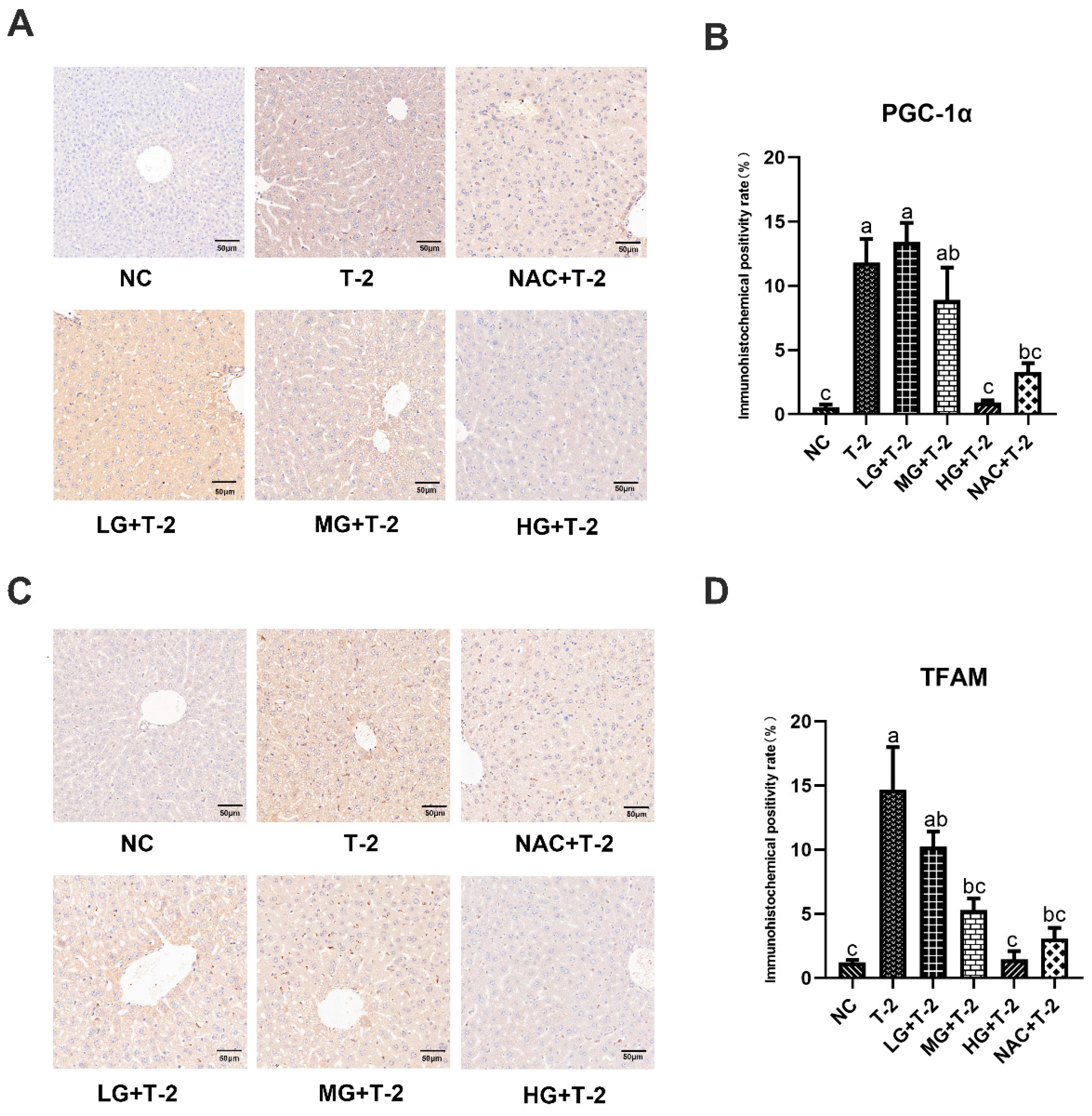 Antioxidants 14 00866 g006