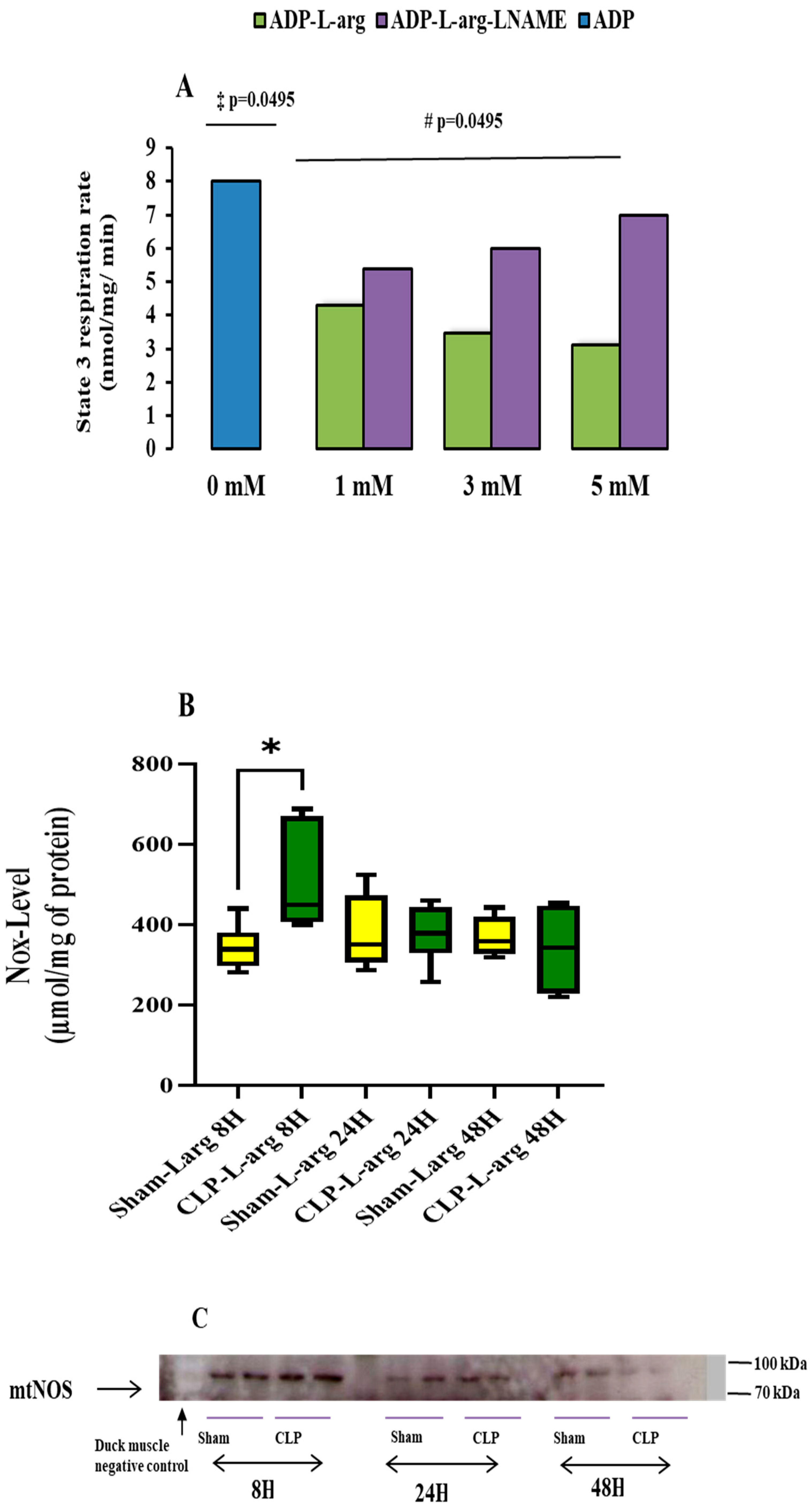 Antioxidants 14 00868 g002 Antioxidants 14 00868 g002