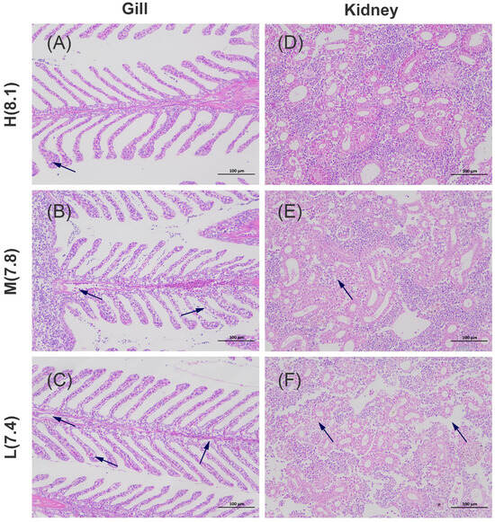 コンティニュアム　15P Comparative Transcriptome Profiling Reveals Two WRKY