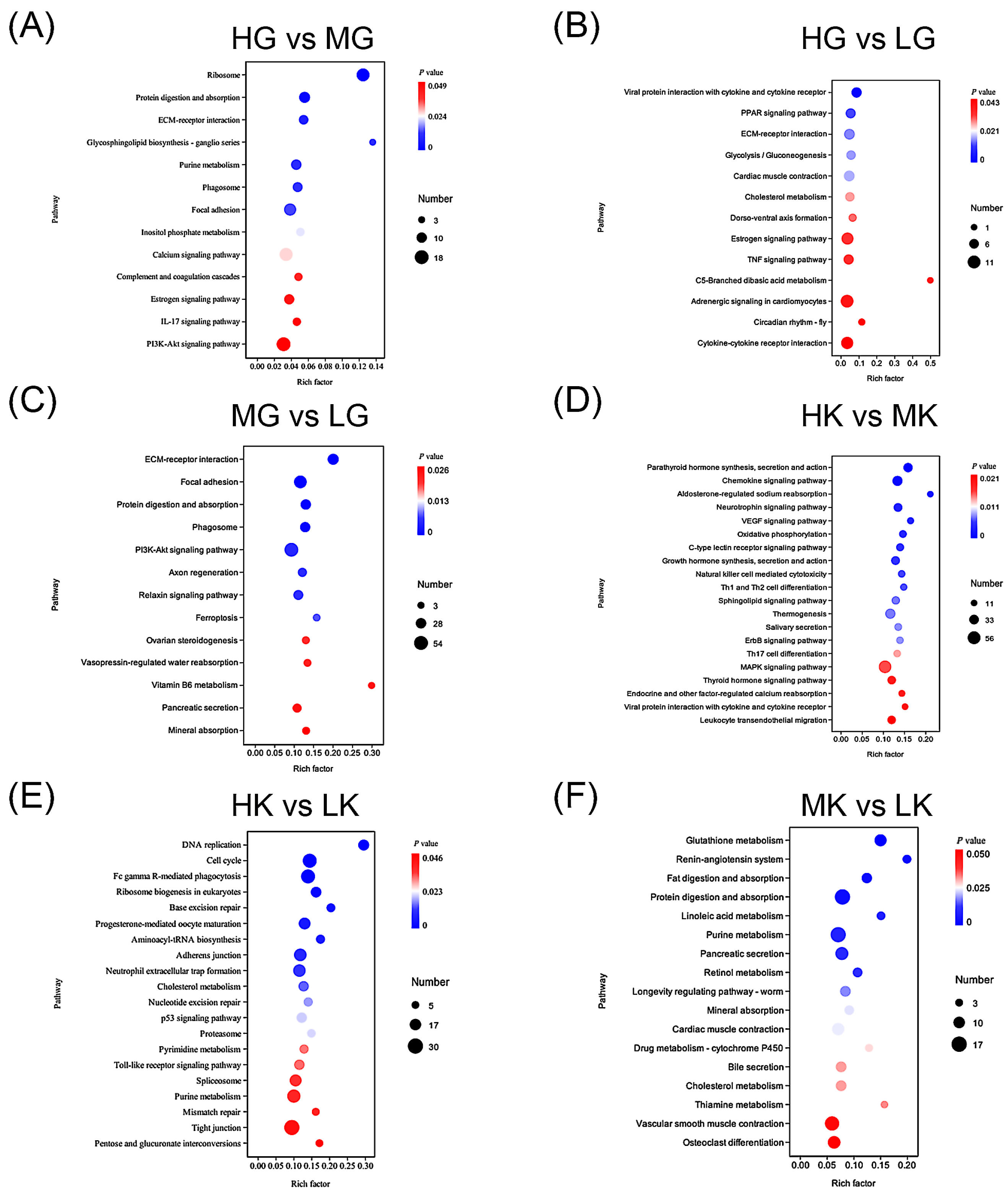 Antioxidants 14 00872 g005 Antioxidants 14 00872 g005