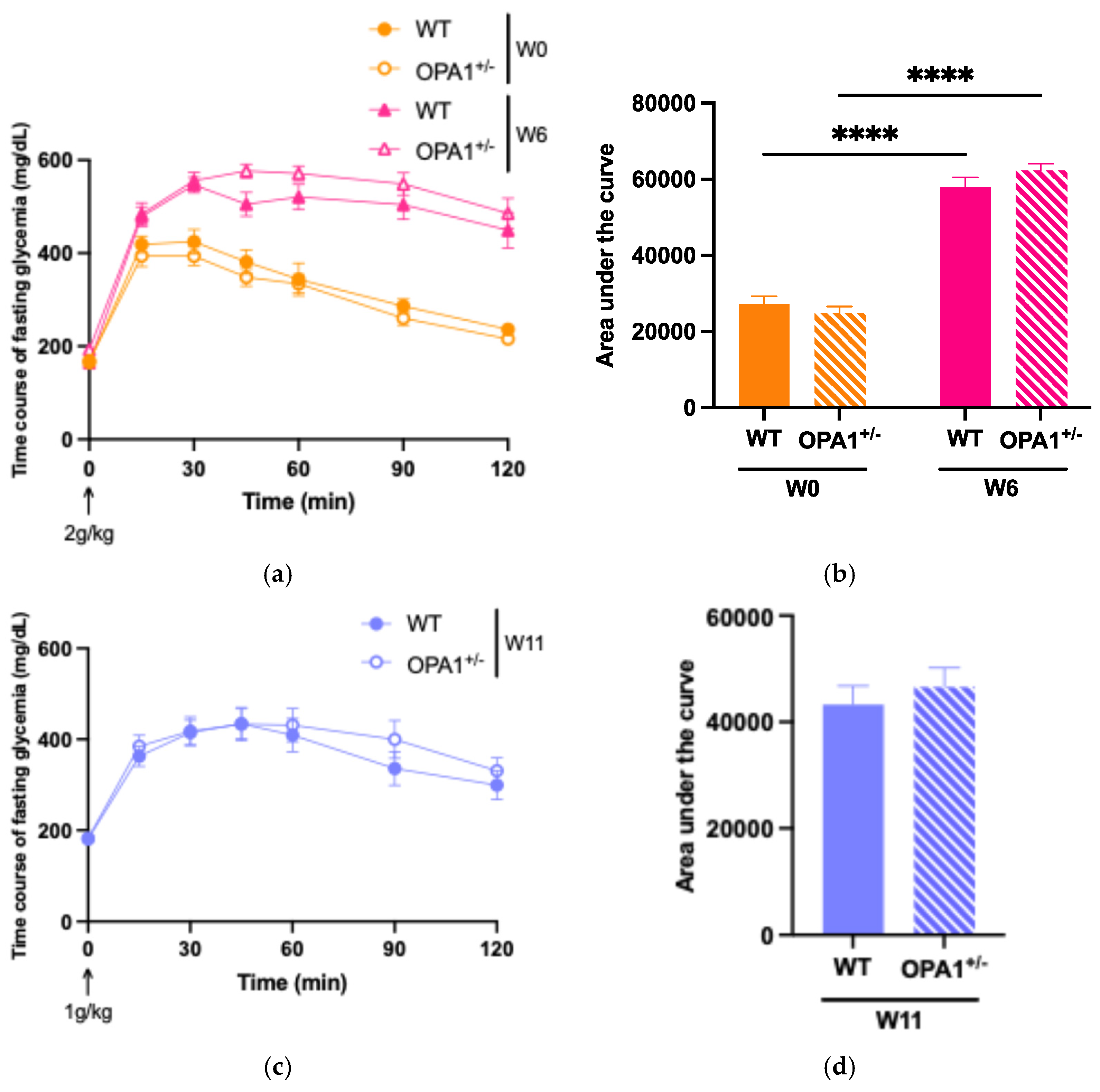 Antioxidants 14 00876 g002a