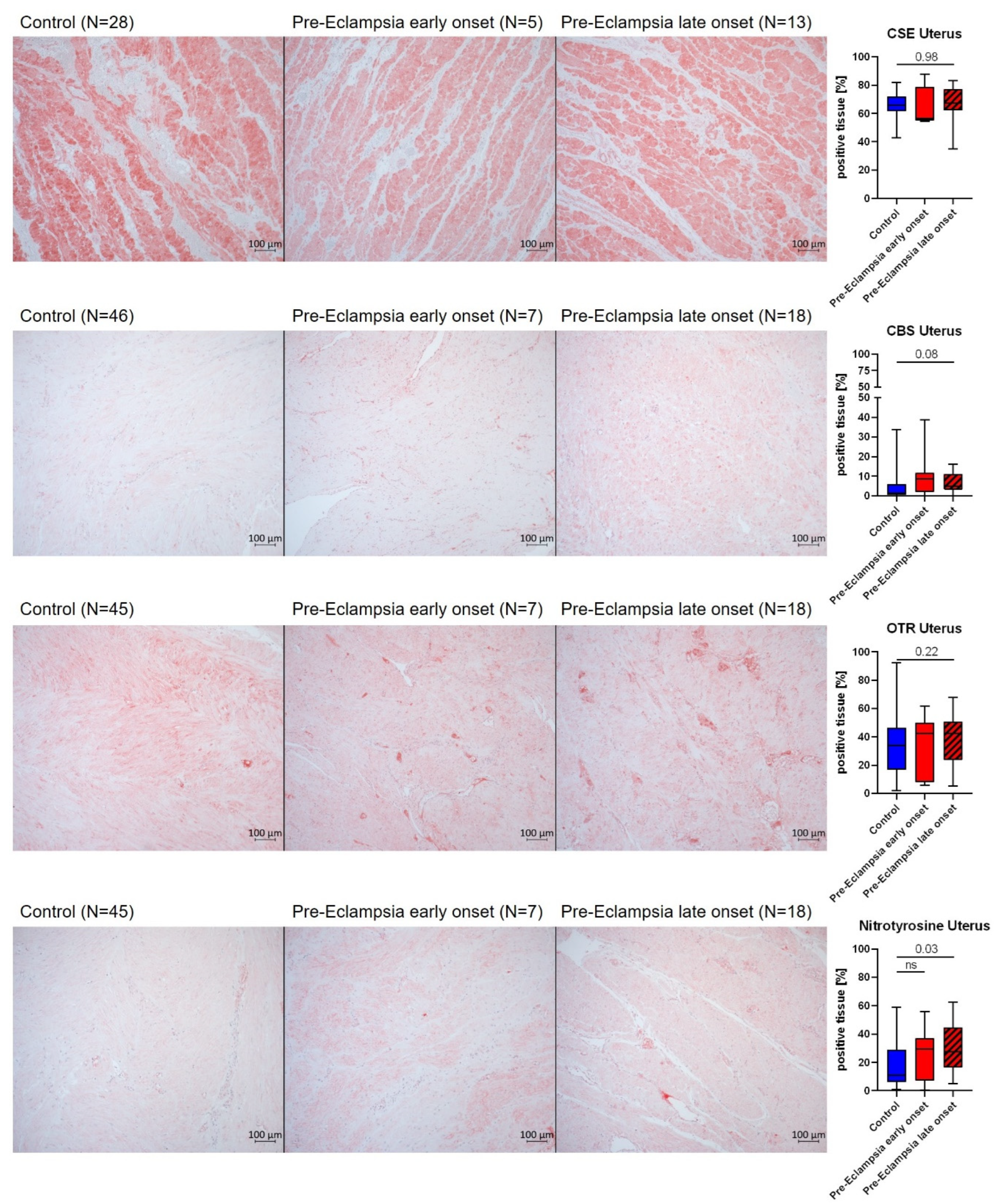 Antioxidants 14 00880 g004