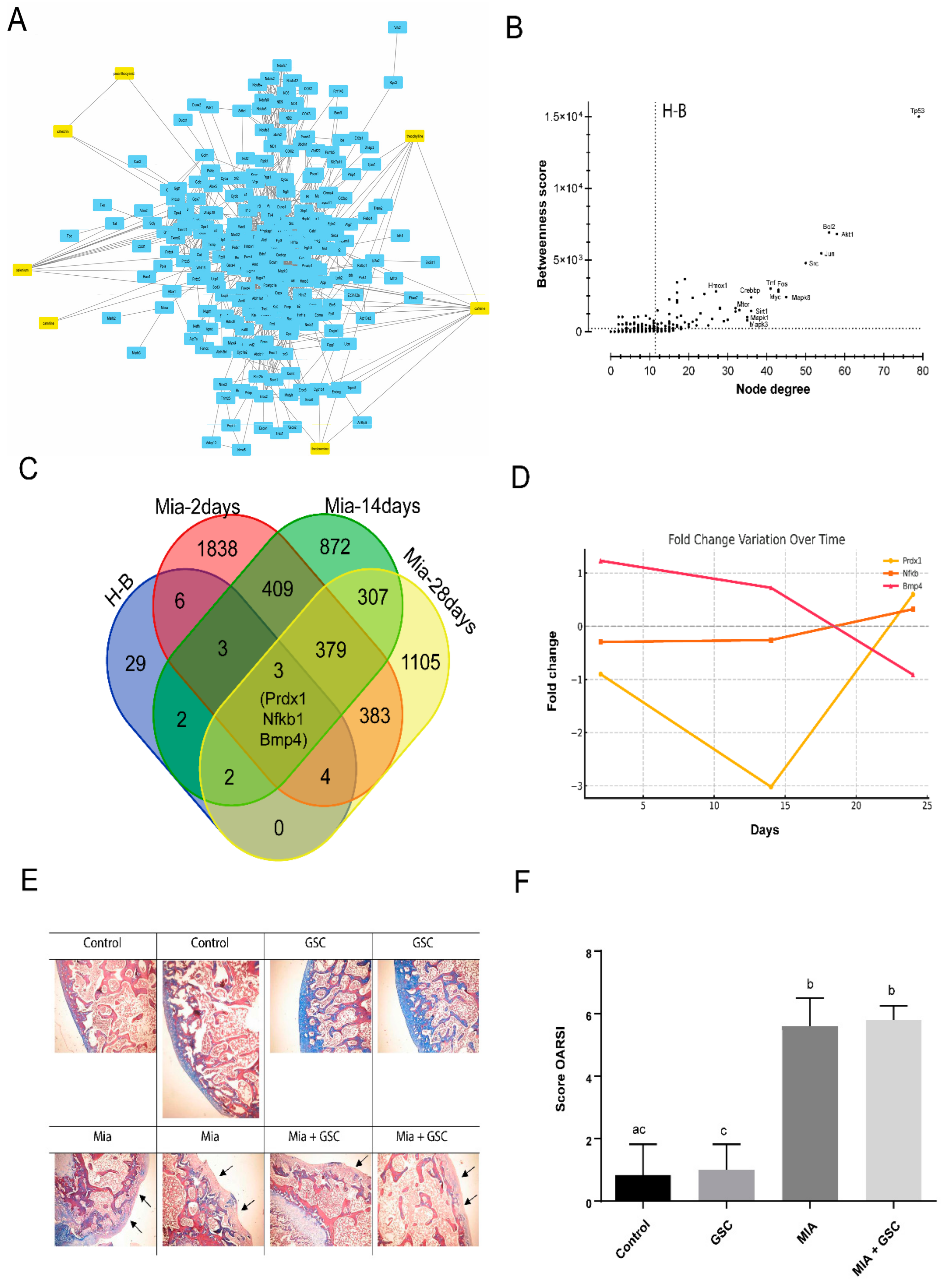 Antioxidants 14 00881 g007