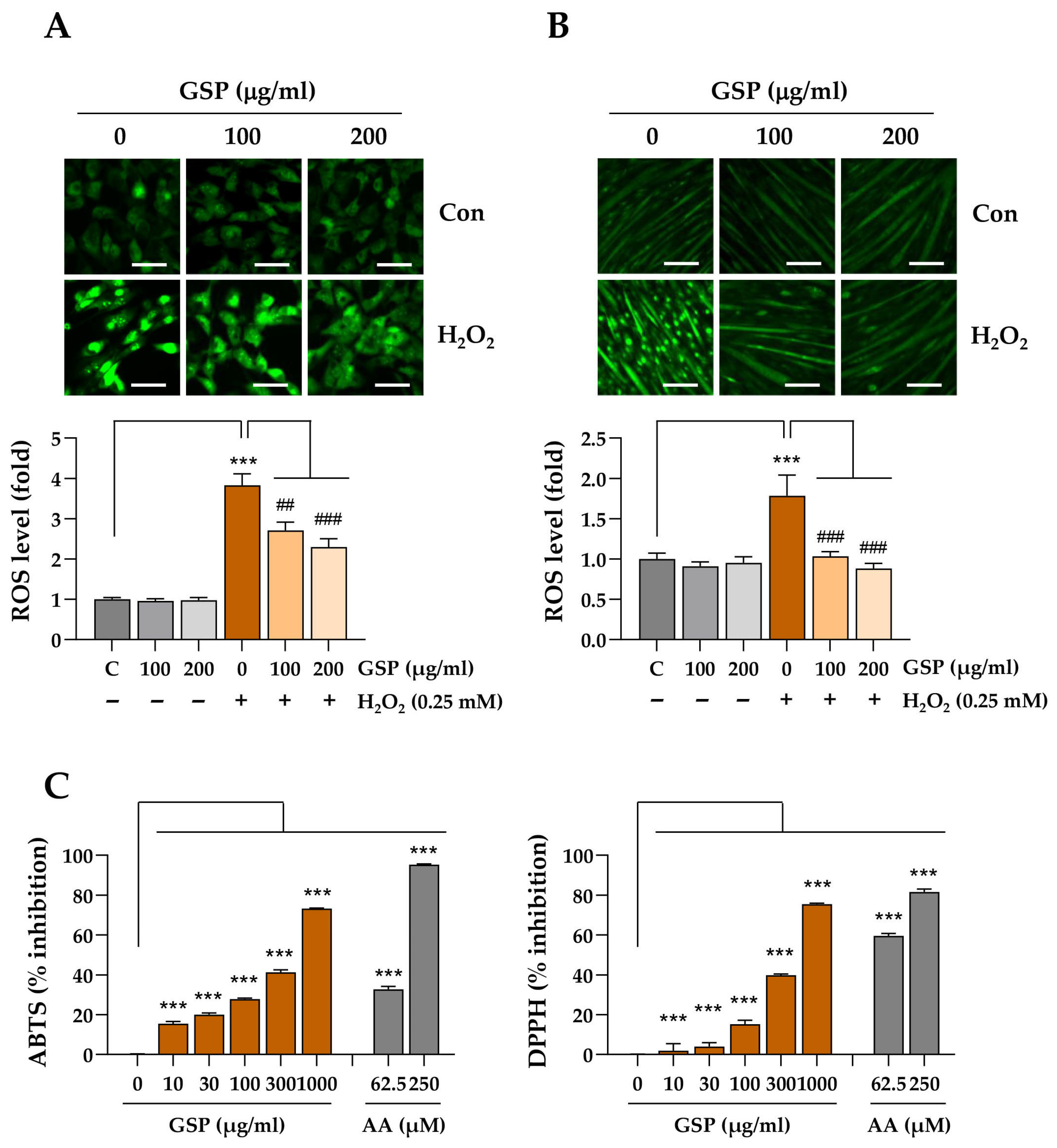 Antioxidants 14 00882 g003