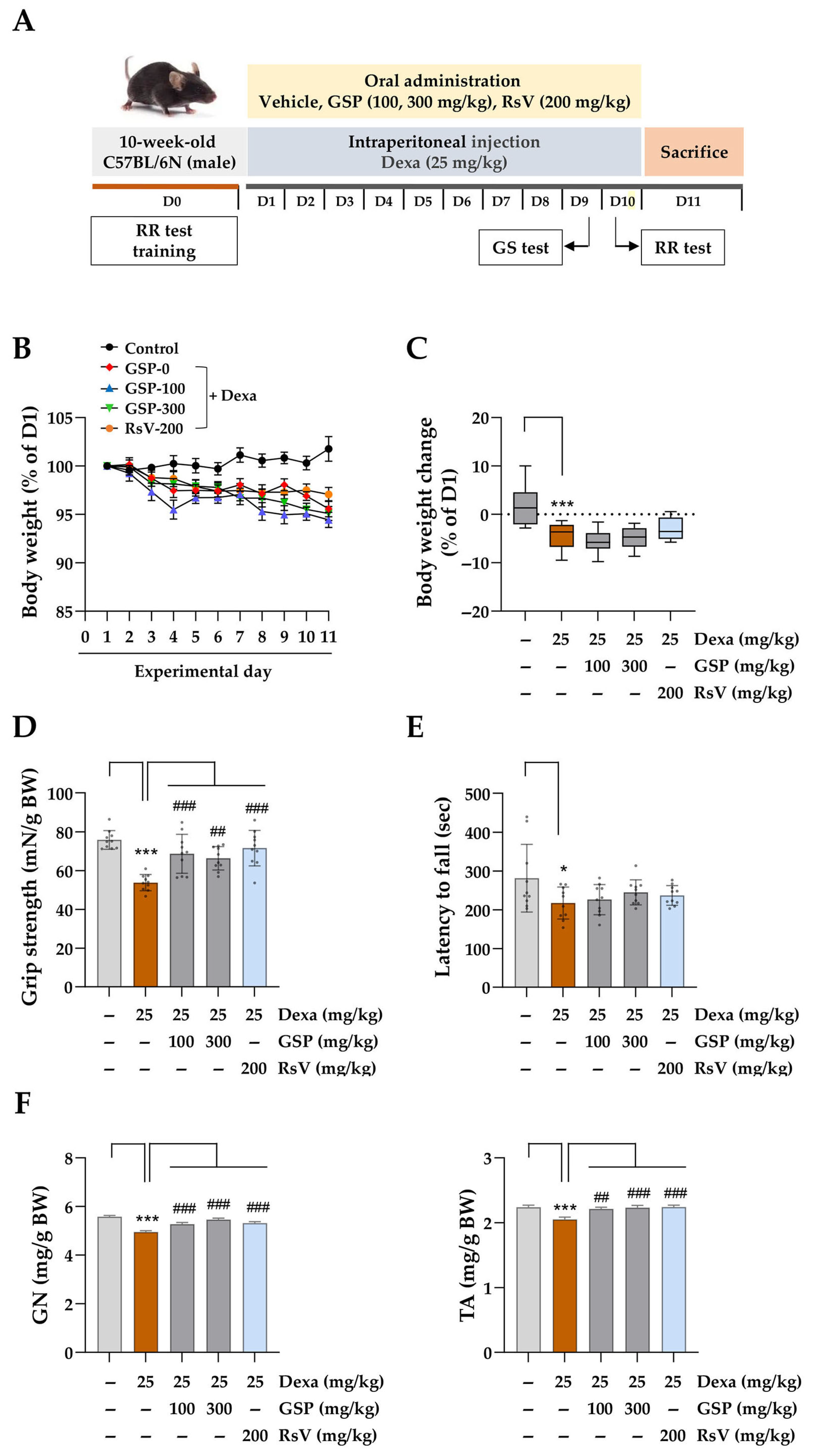 Antioxidants 14 00882 g004