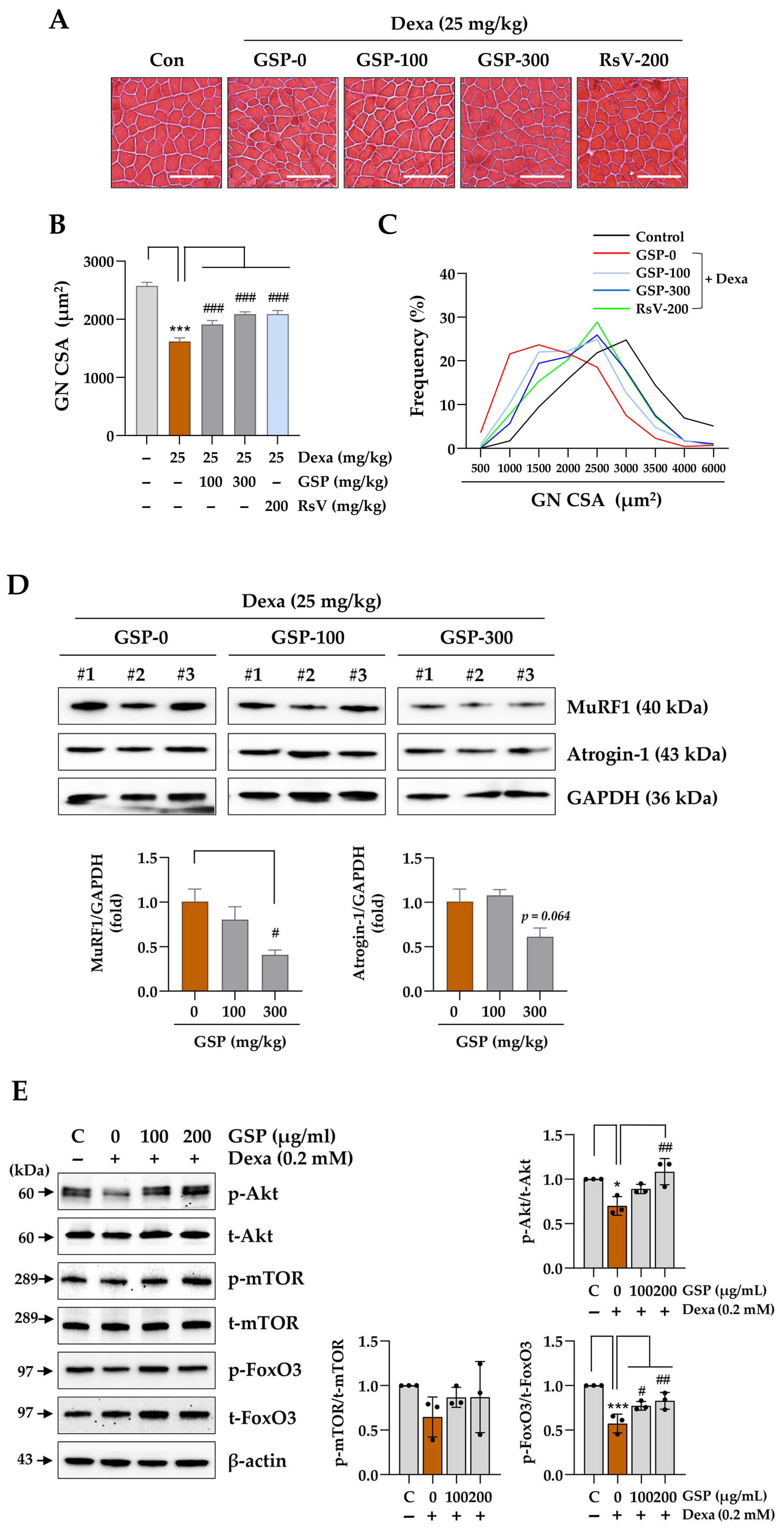 Antioxidants 14 00882 g005
