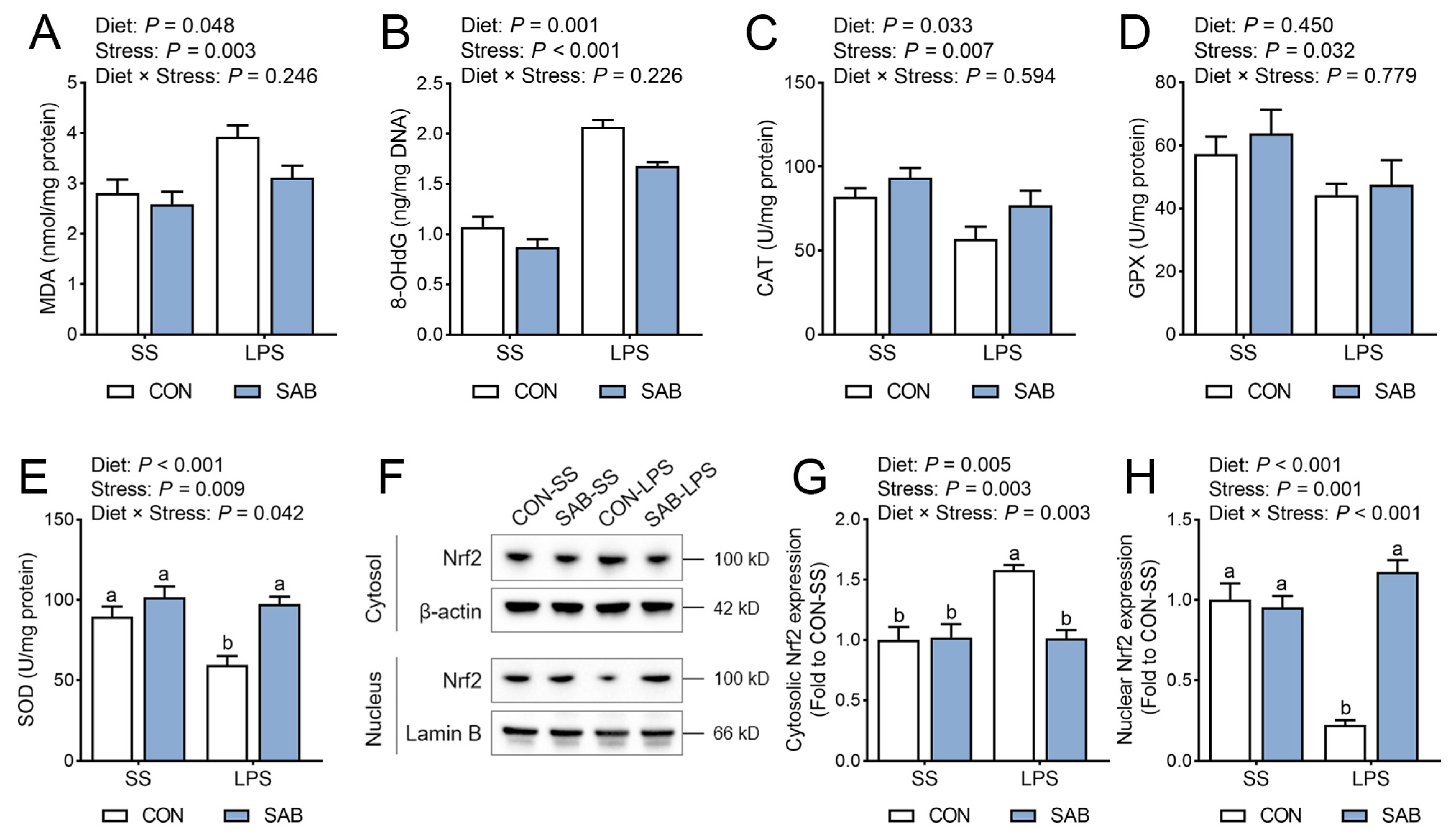 Antioxidants 14 00883 g006 Antioxidants 14 00883 g006