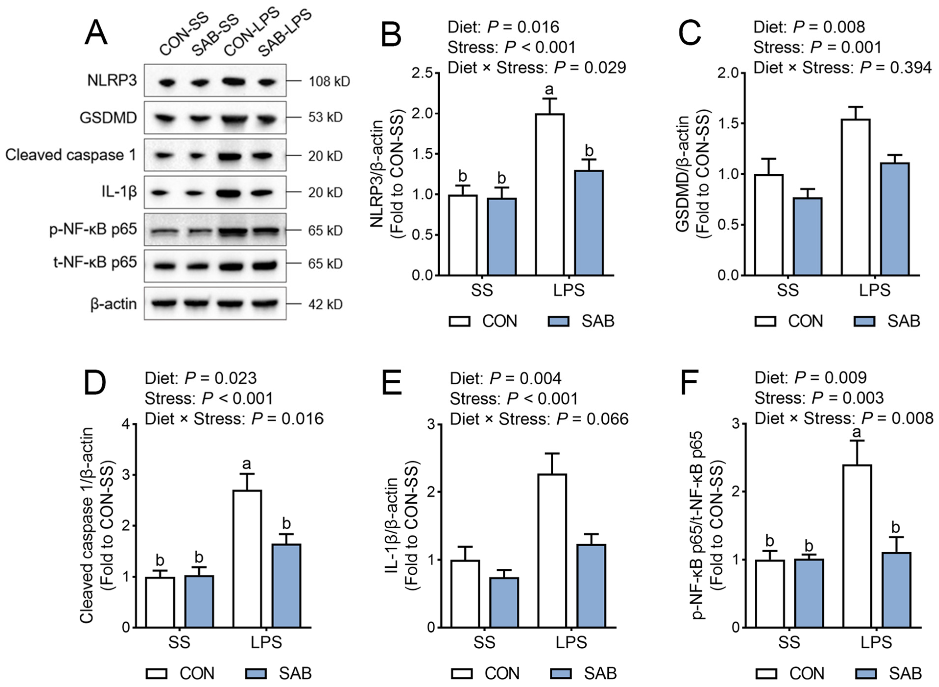 Antioxidants 14 00883 g007 Antioxidants 14 00883 g007