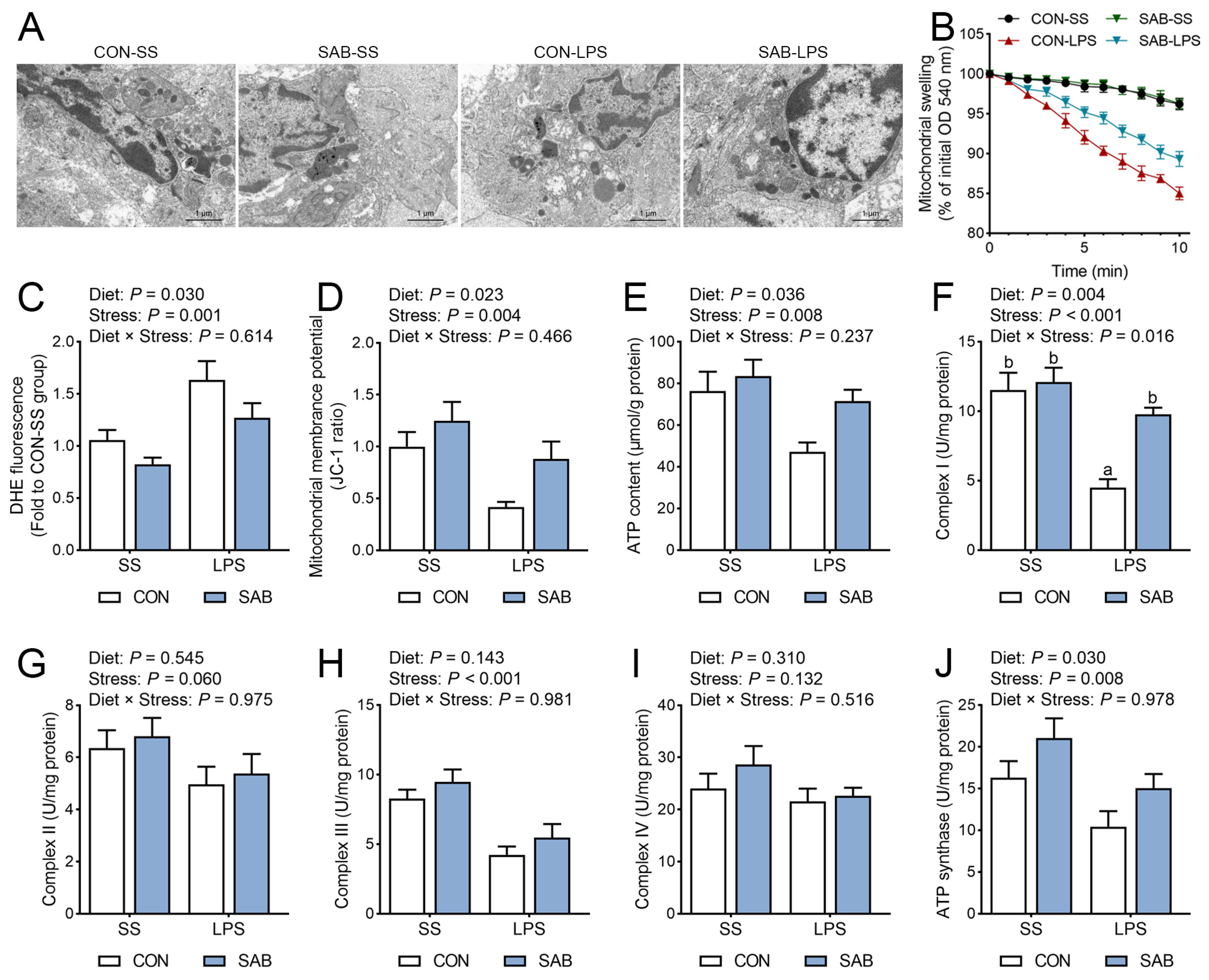 Antioxidants 14 00883 g008 Antioxidants 14 00883 g008