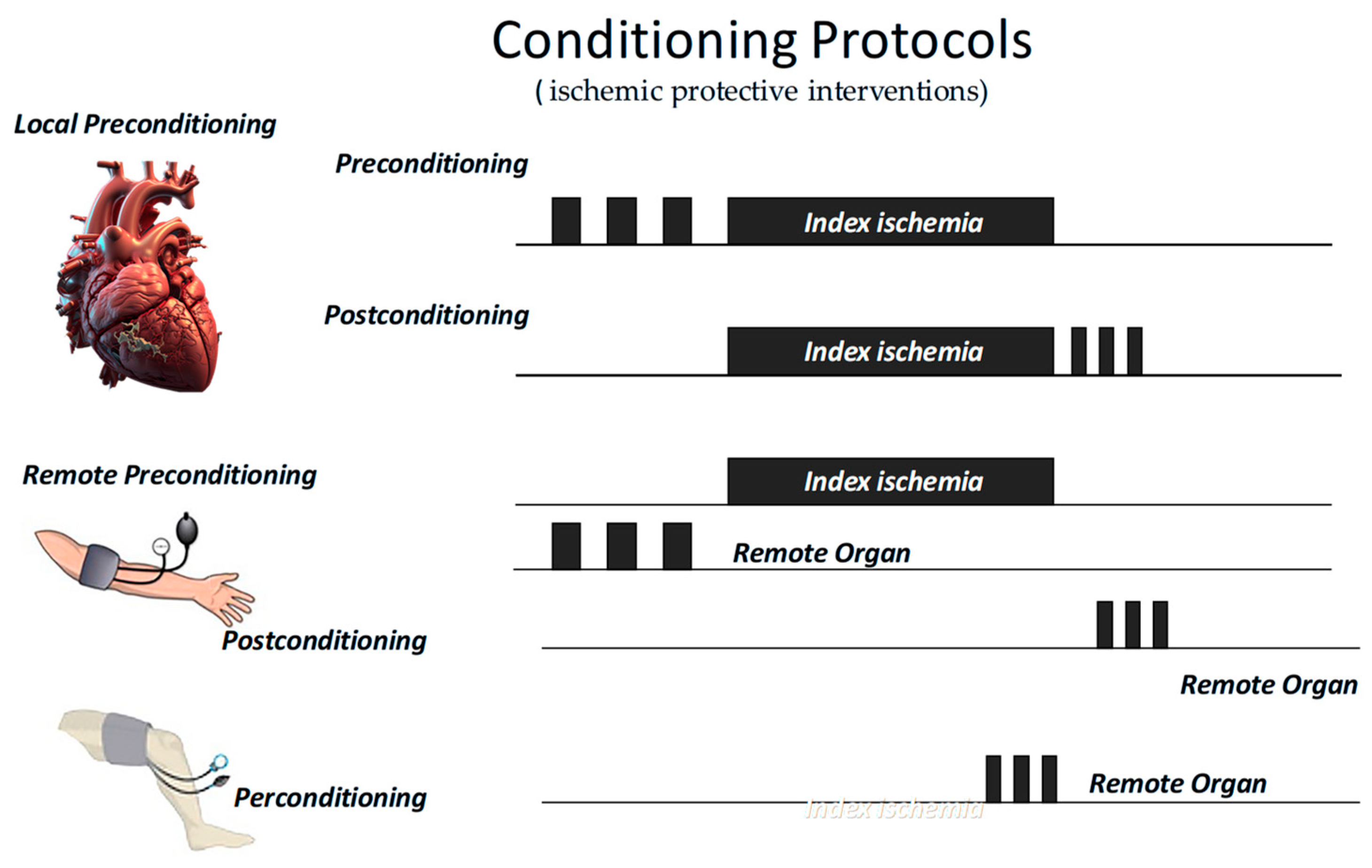 Antioxidants 14 00889 g003