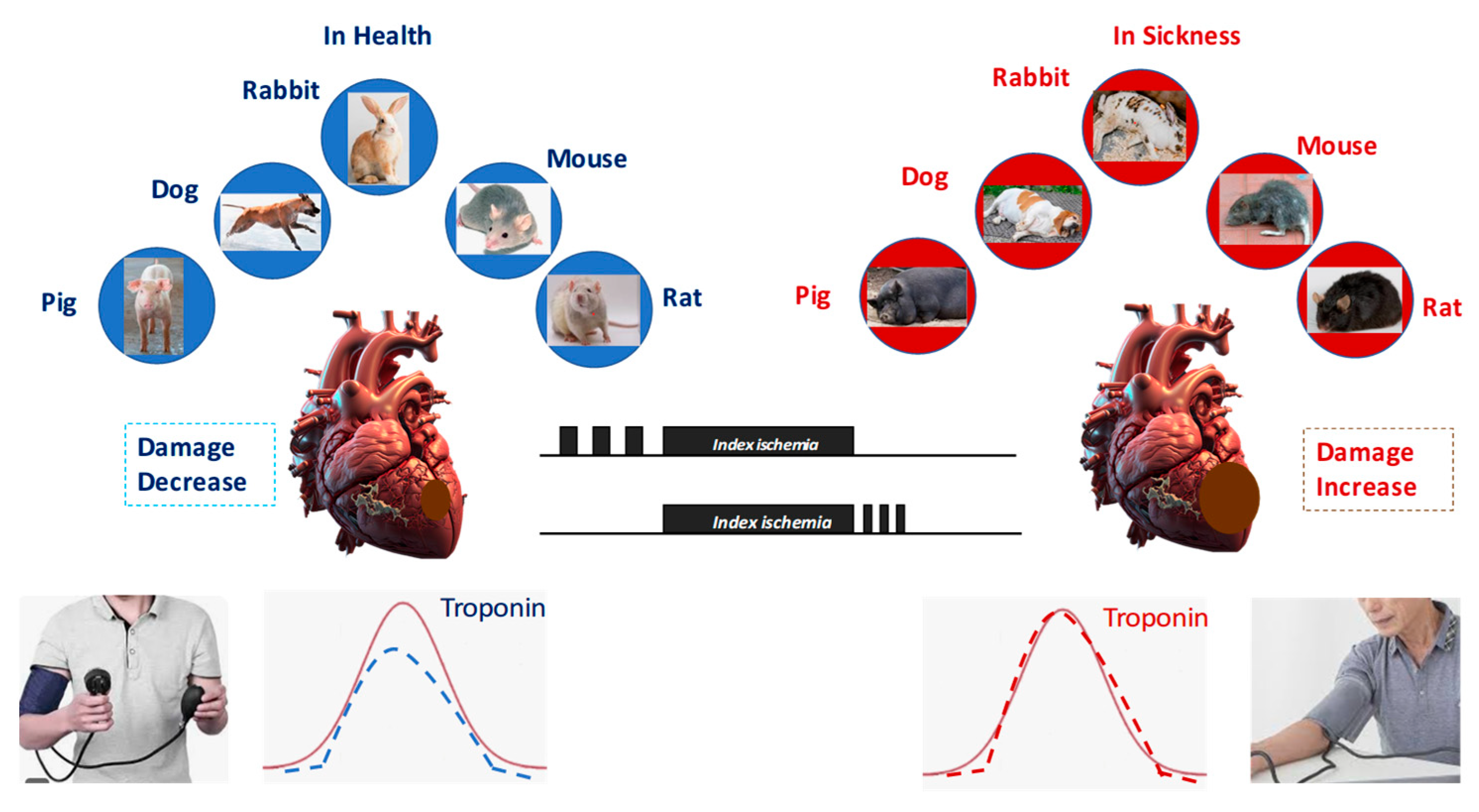 Antioxidants 14 00889 g005