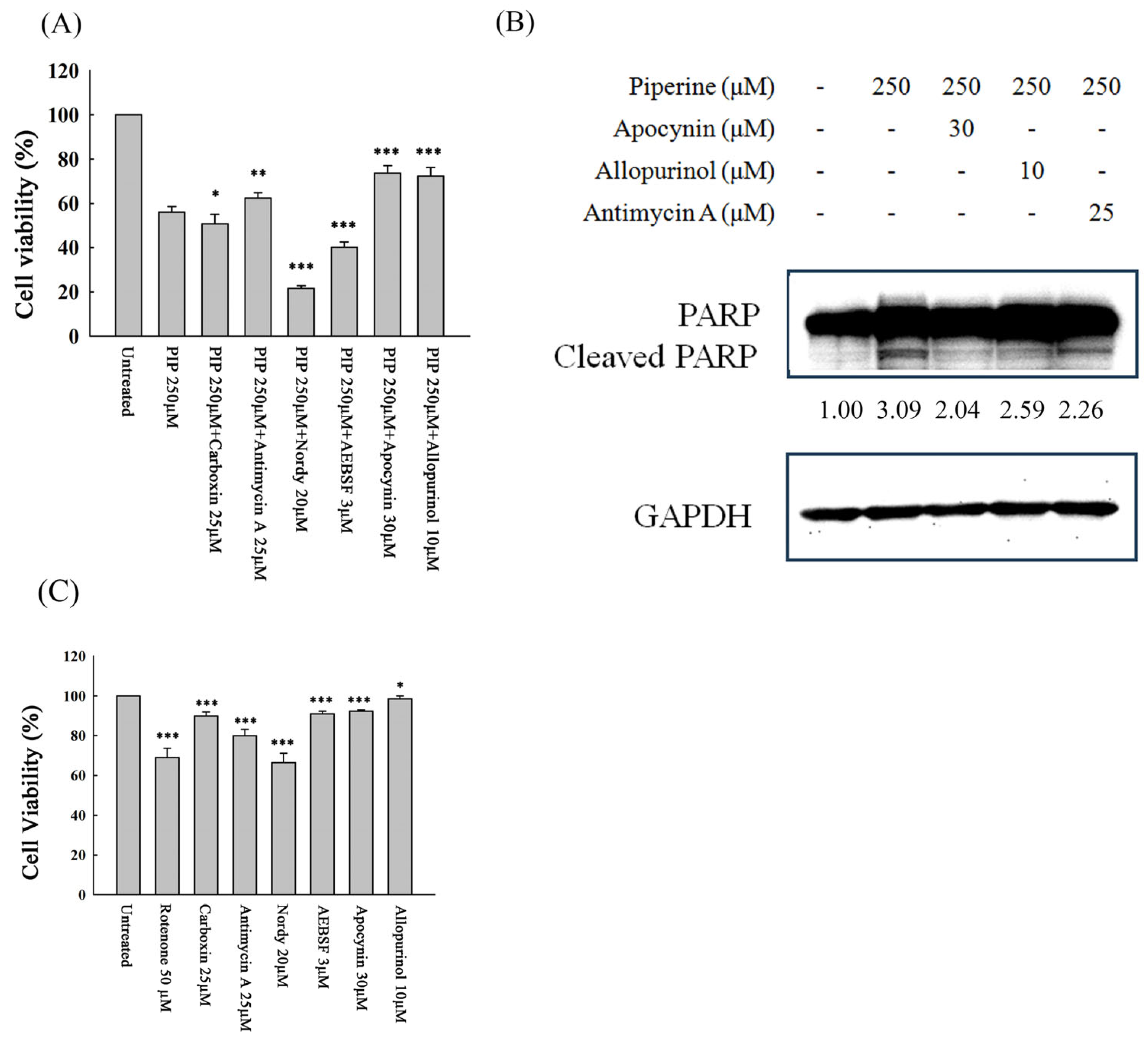 Antioxidants 14 00892 g005 Antioxidants 14 00892 g005